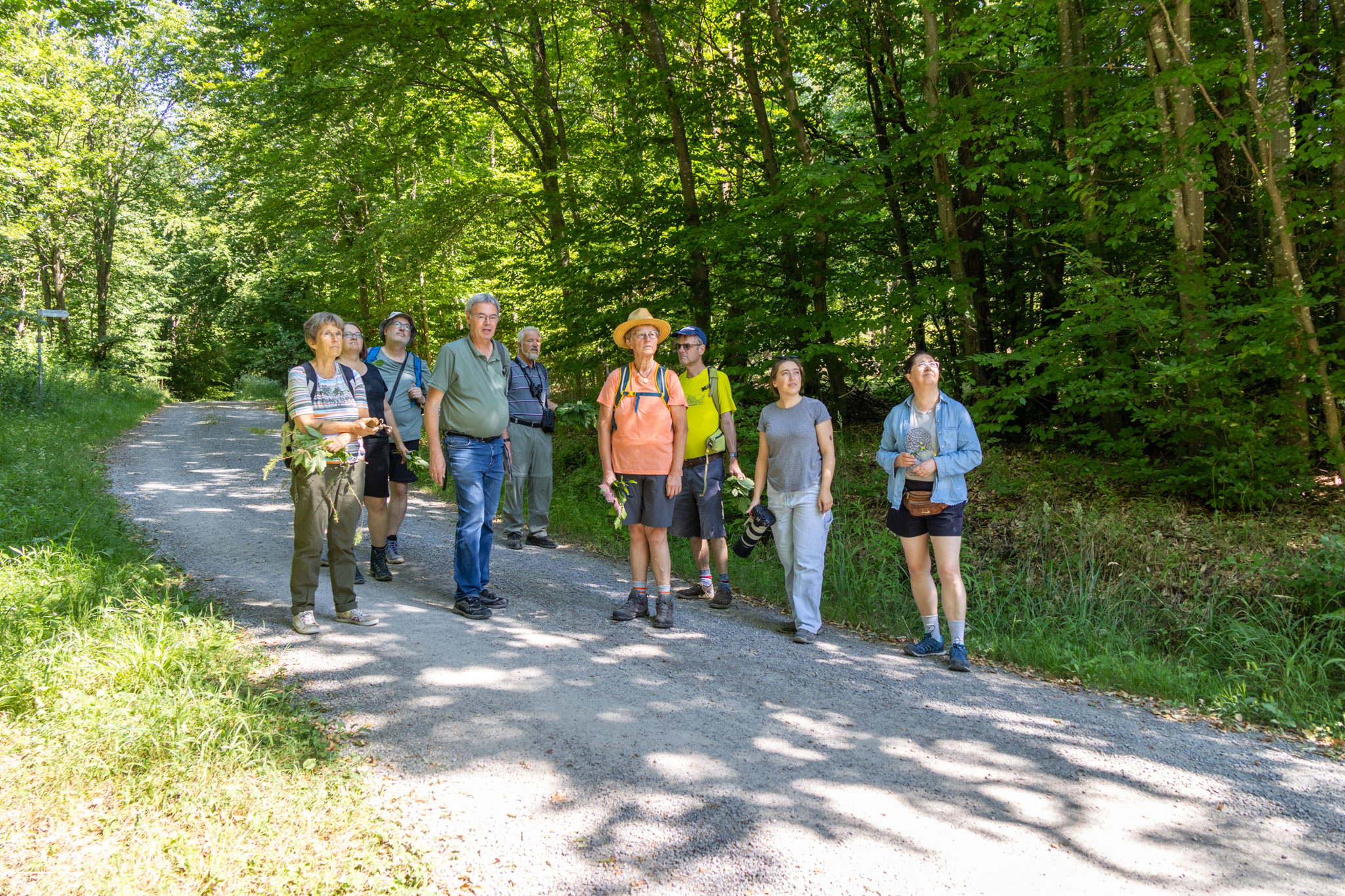 Ein Blick nach oben lohnt sich (Foto: B. Budig)
