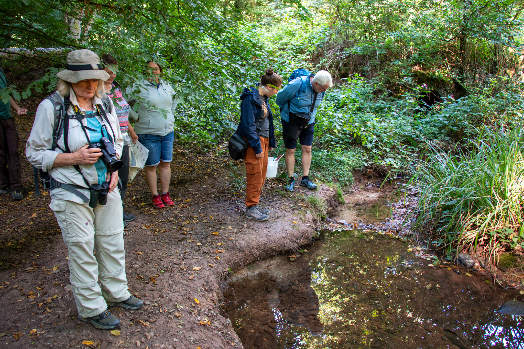 Erster Blick in den Kanzelbach (Foto: B. Budig)
