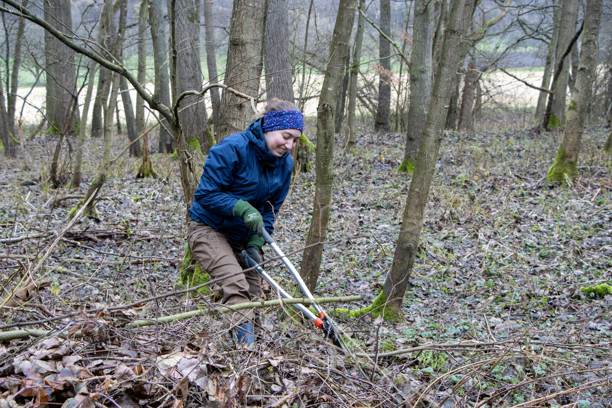 Kleinschneiden des Schnittgutes mit Astschere (Foto: B. Budig)