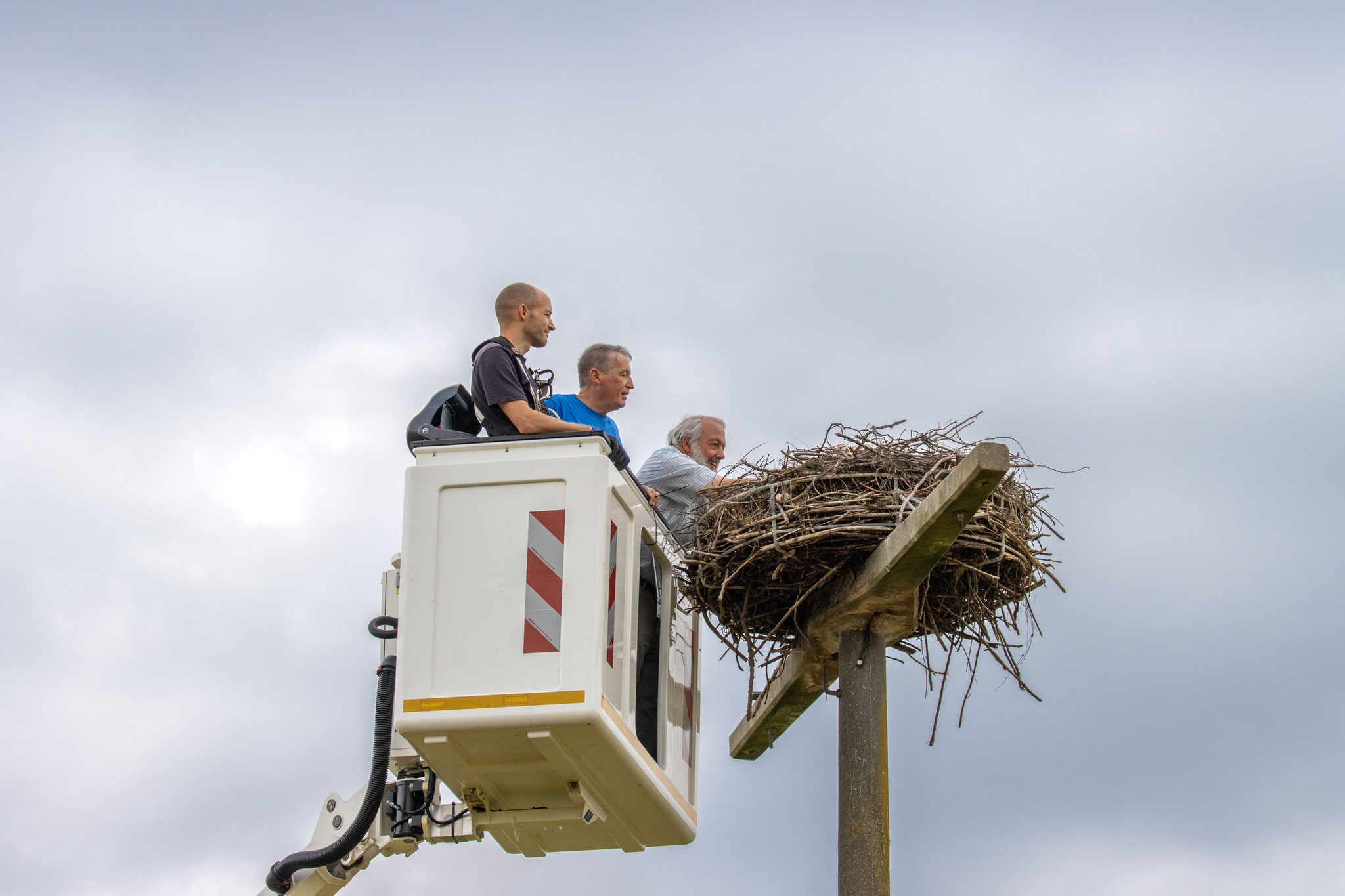 Am Nest angekommen (Foto: Henrike Budig)