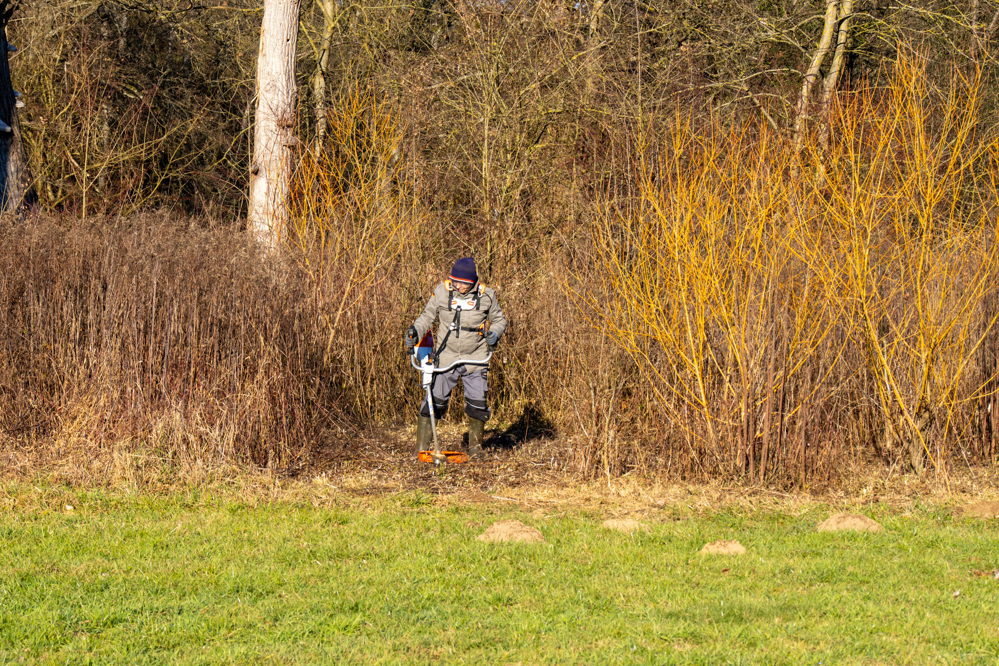 Mit der Motorsense geht es dem Gestrüpp an den Kragen. (Foto: B. Budig)
