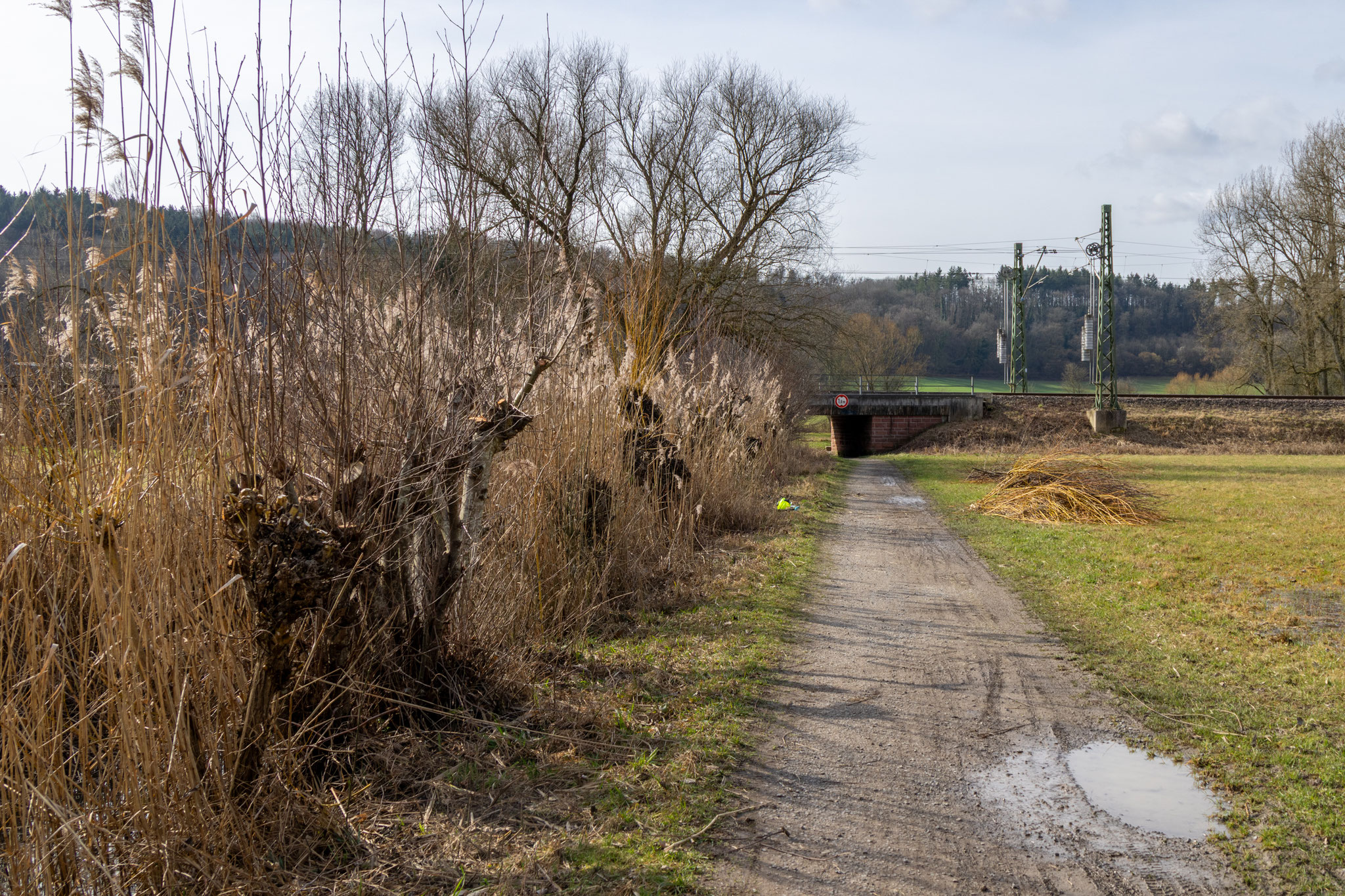 (Foto: B. Budig)