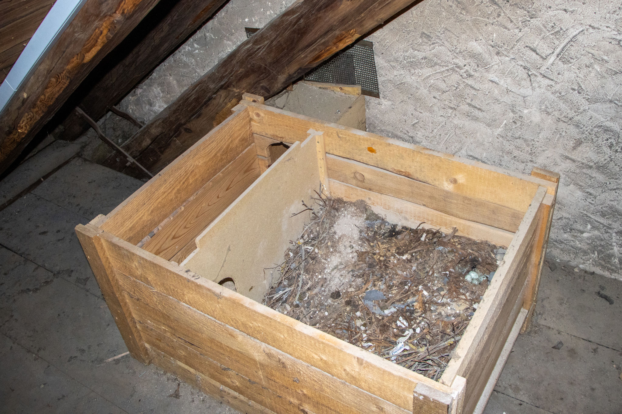 großer Nistkasten auf dem Dachboden vorher (Foto: B. Budig)