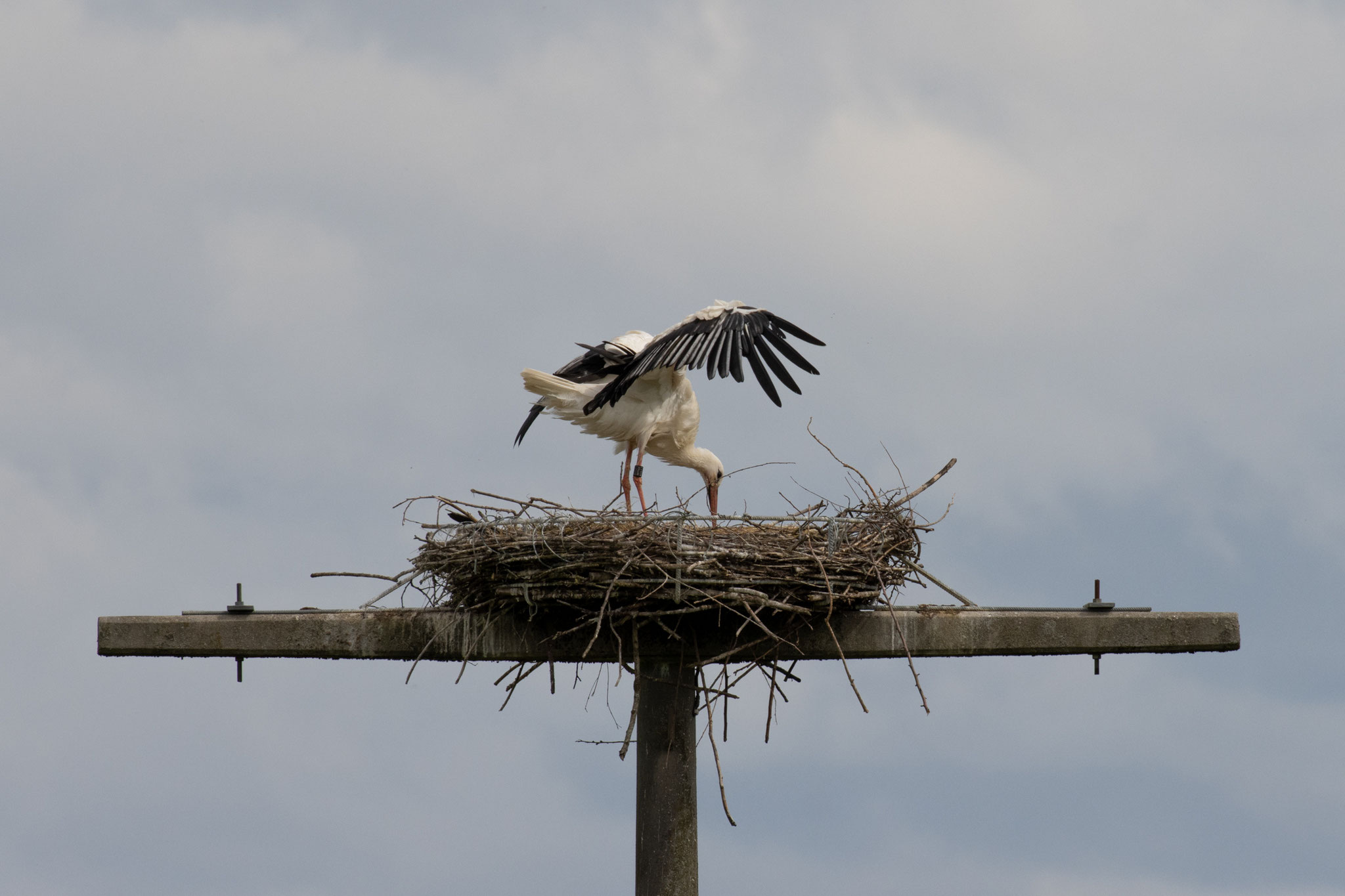 24.05.21 (Foto: B. Budig)