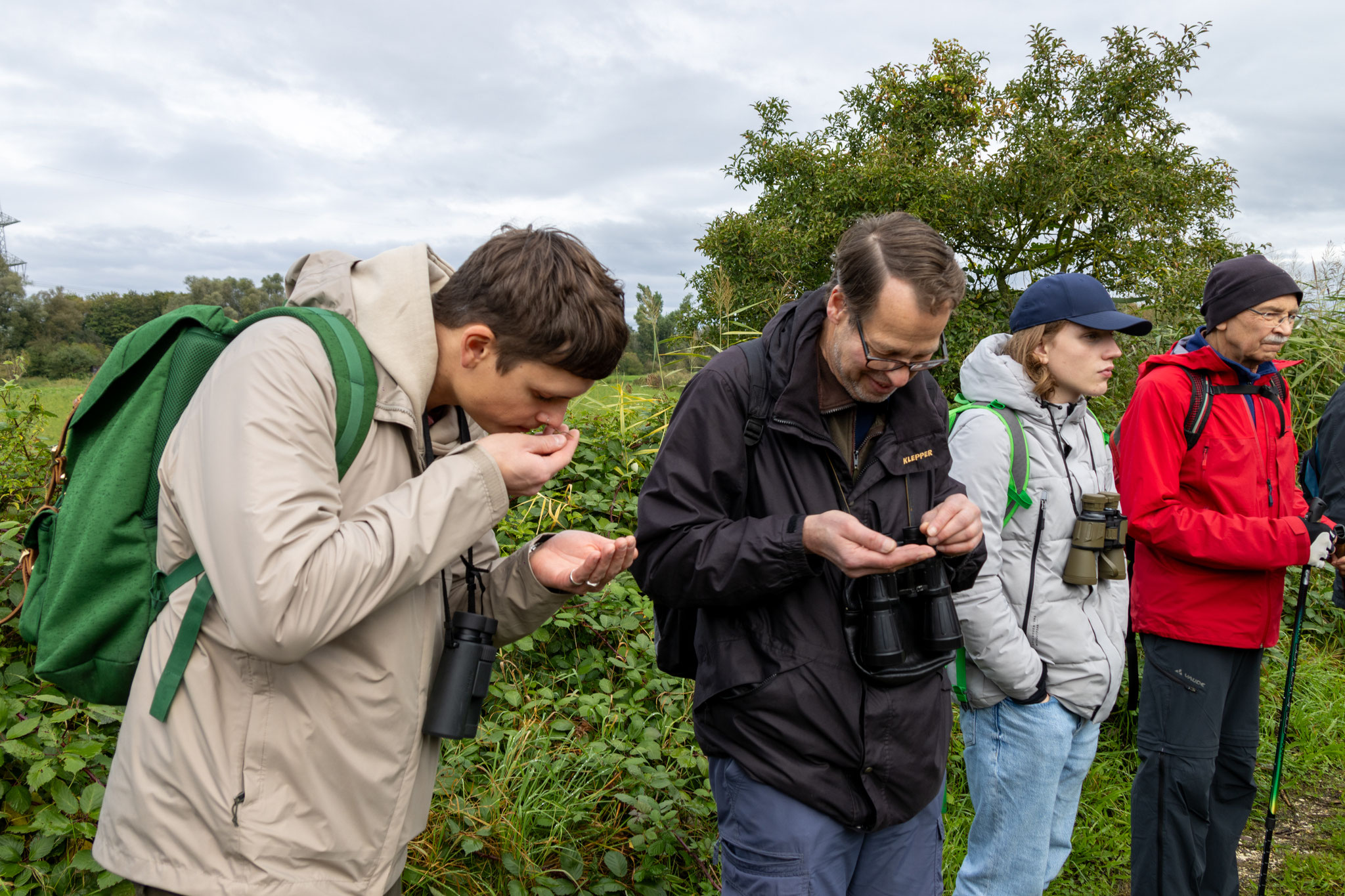 Wie riecht Hopfen? (Foto: B. Budig)