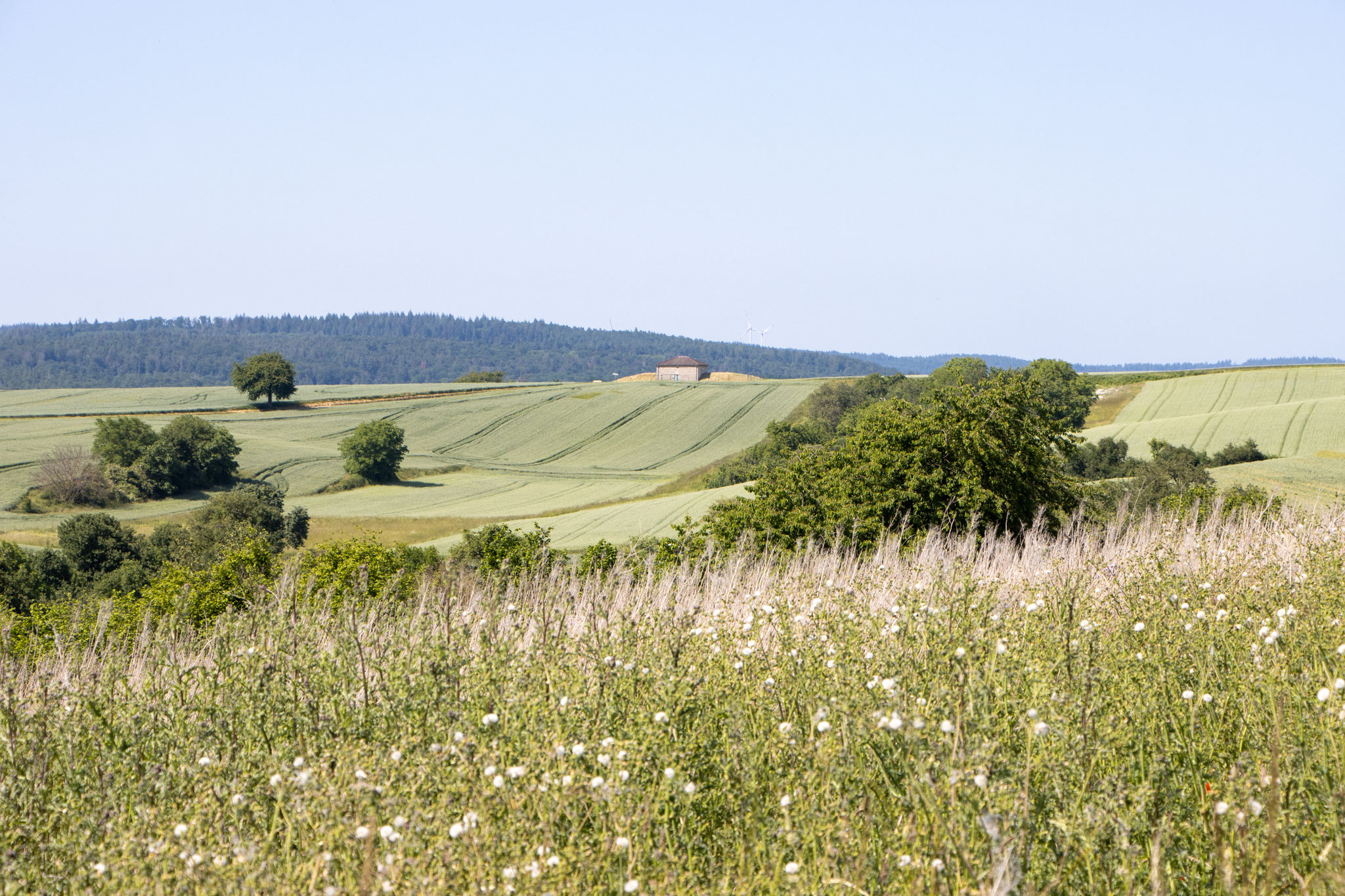 1: Talblick in Richtung Wasserhäuschen (Foto: B. Budig)