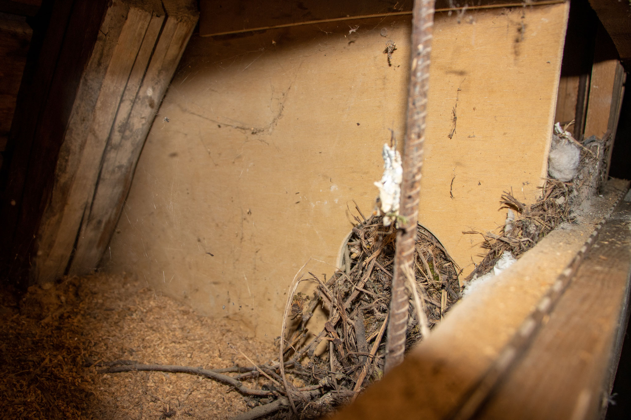 Verlegter Durchgang in der Zwischenwand (Foto: B. Budig)