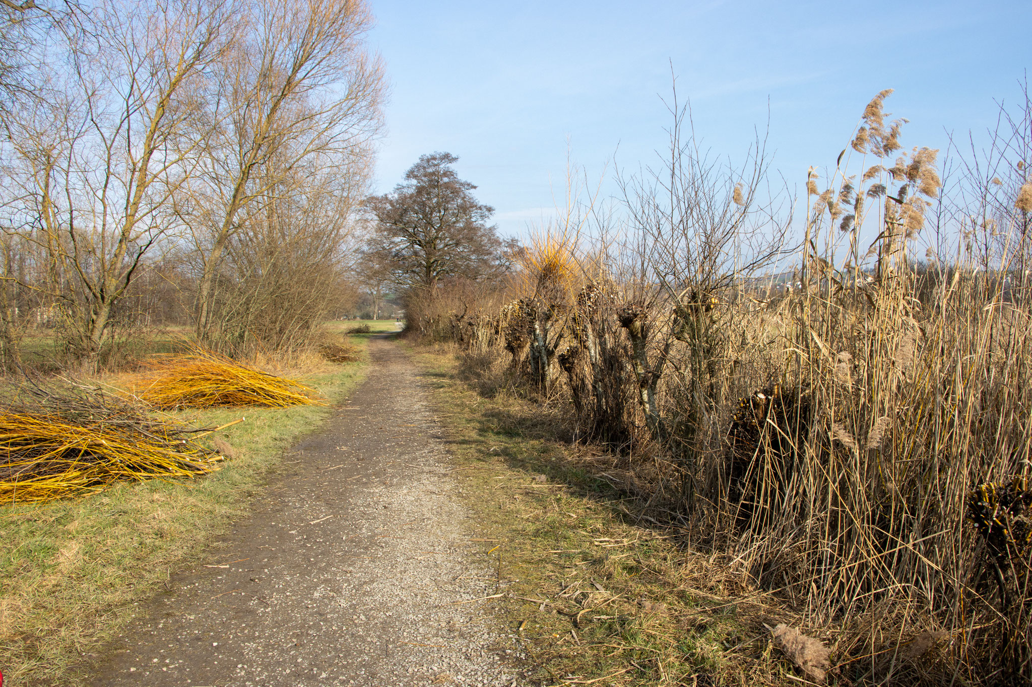 Endergebnis mit einigem Schnittgut am Wegesrand (Foto: B. Budig)
