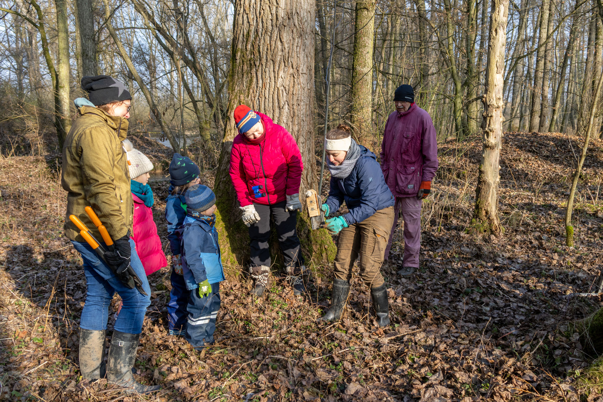 Fledermauskasten unter der Lupe. (Foto: B. Budig)