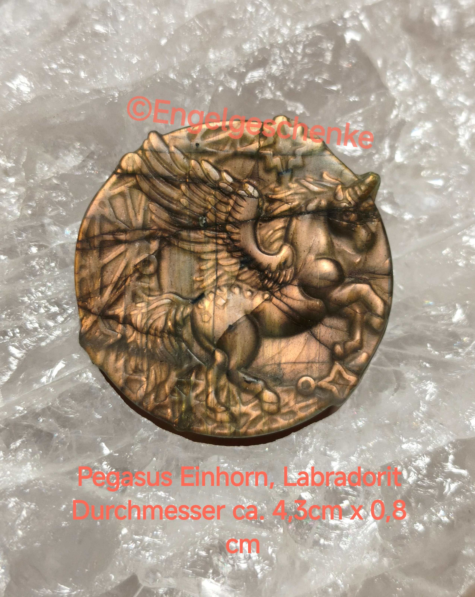 Pegasus- Einhorn