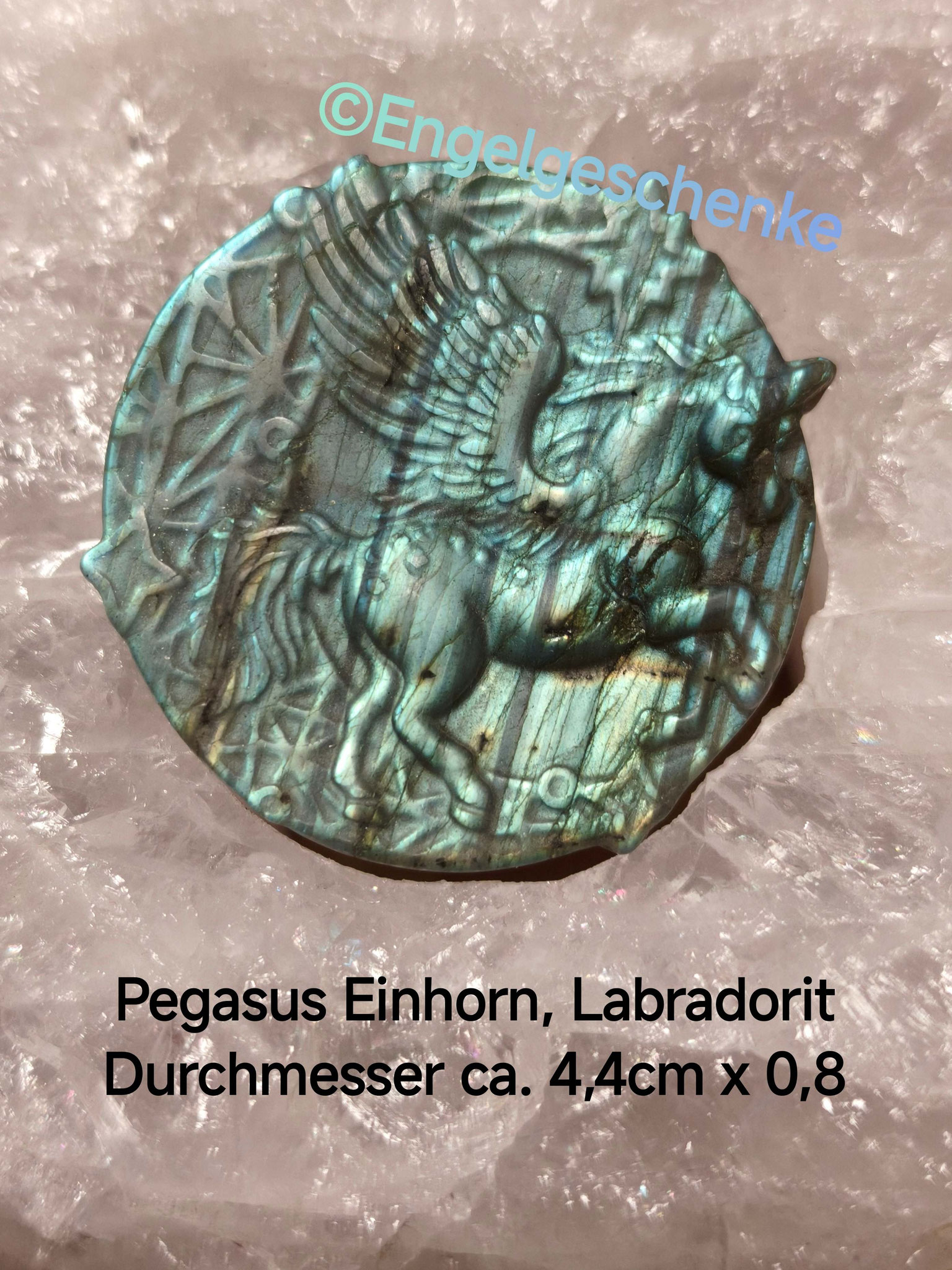 Pegasus- Einhorn
