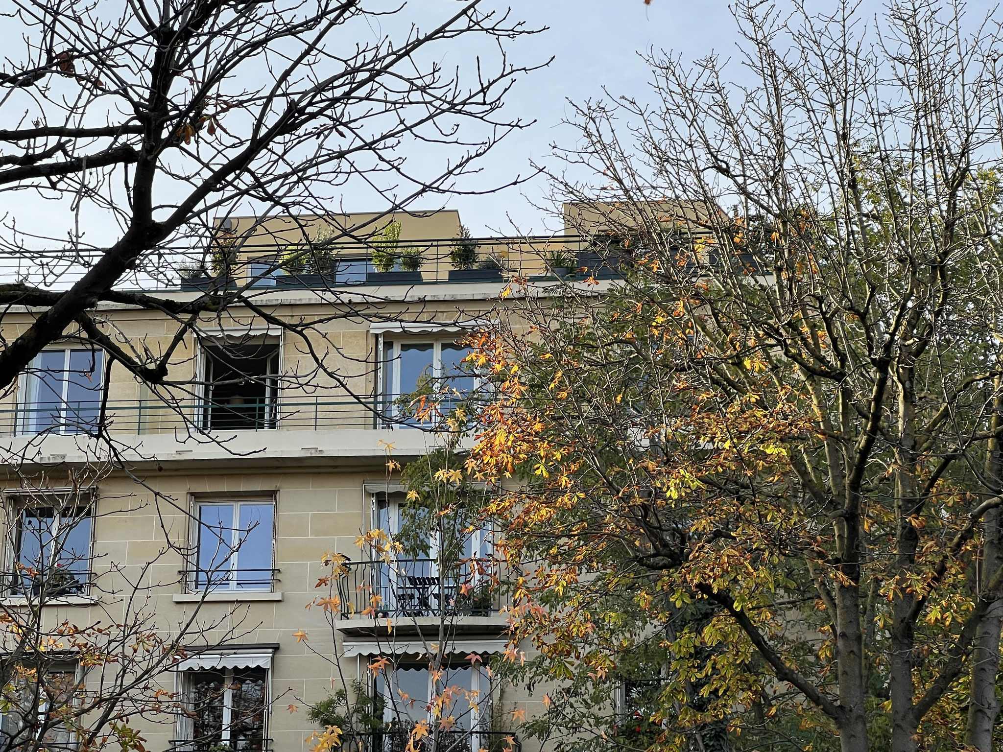 Les nouvelles façades