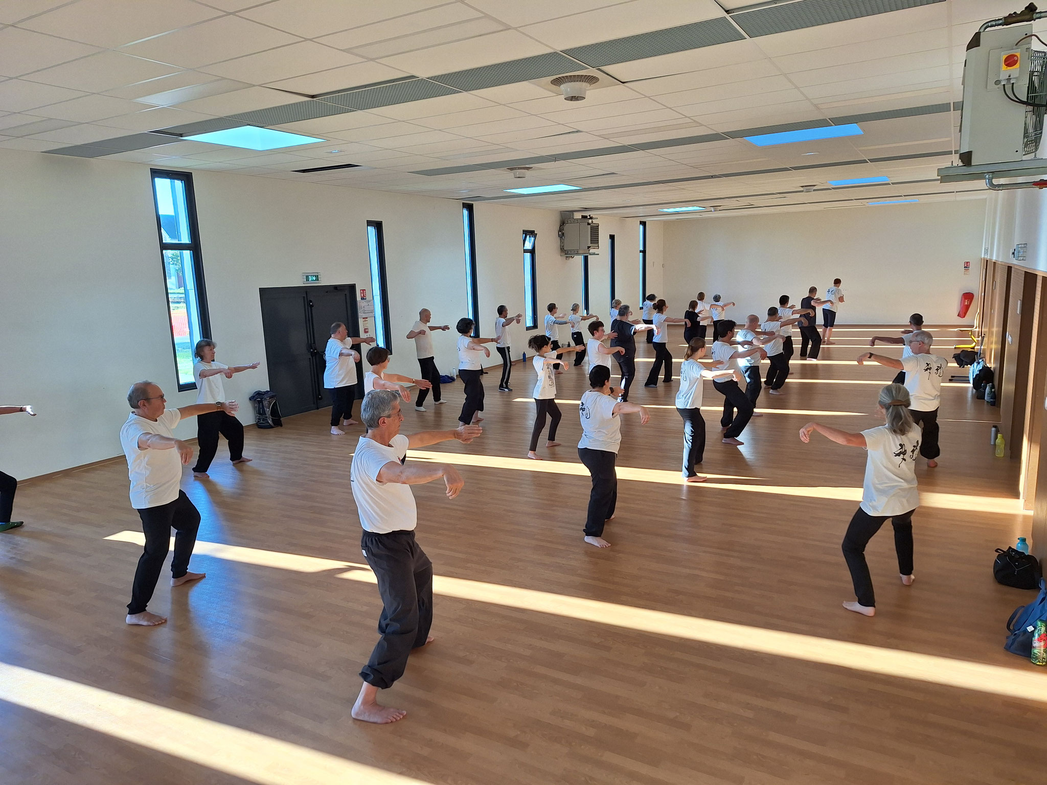 Cours débutant - mouvement simple fouet