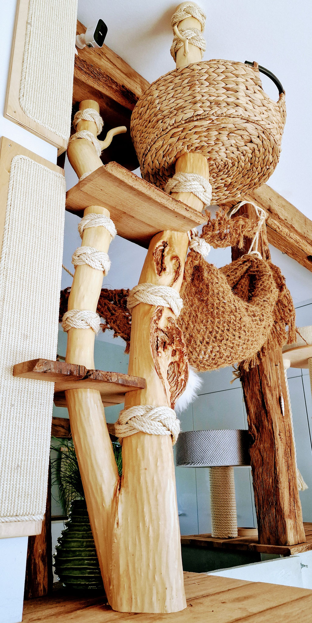 Individuelle Naturkratzbäume und Katzenmöbel von Holzart - Image