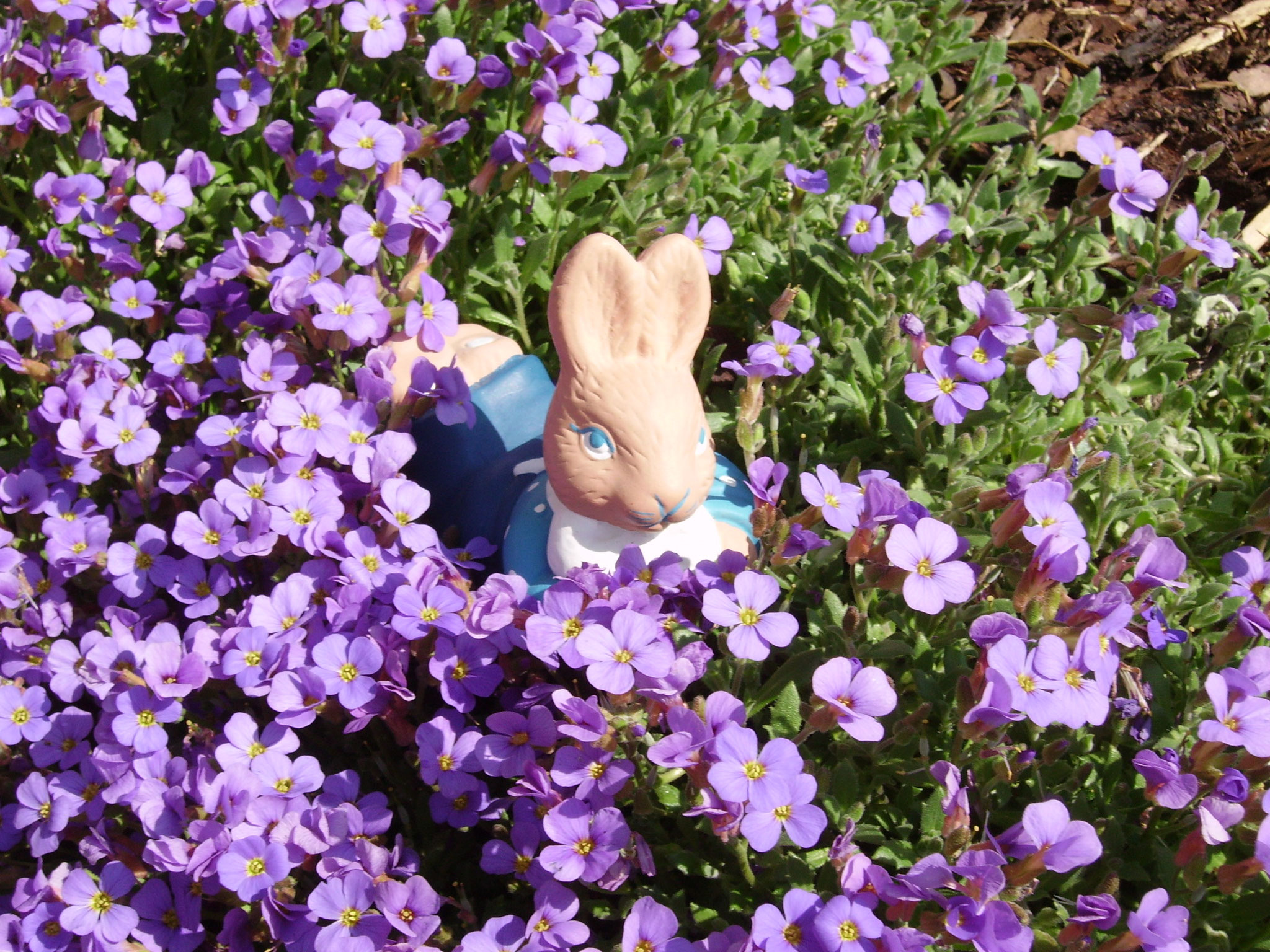 Endlich der Frühling kommt
