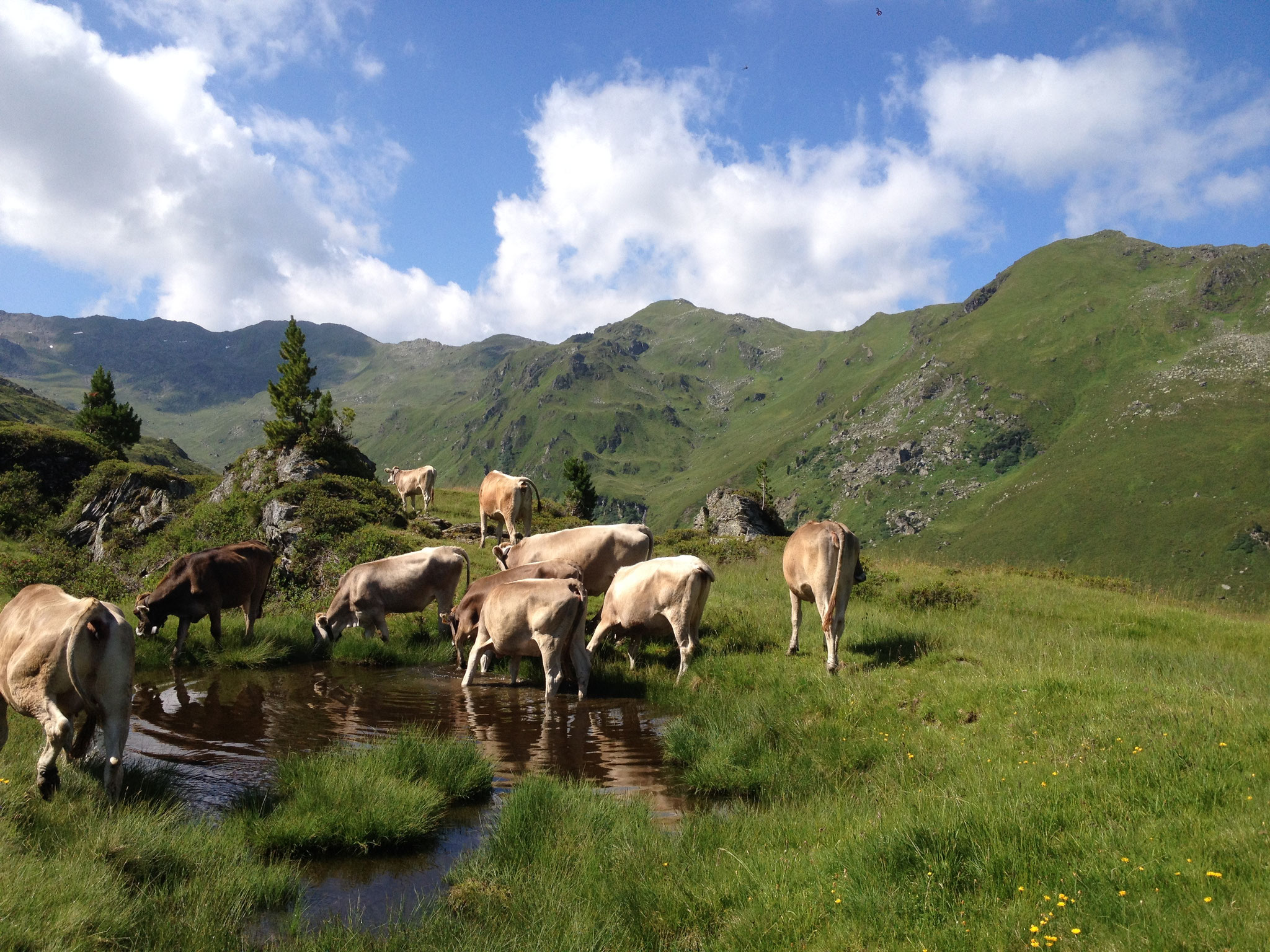Betriebe Nach Bezirken Sortiert
