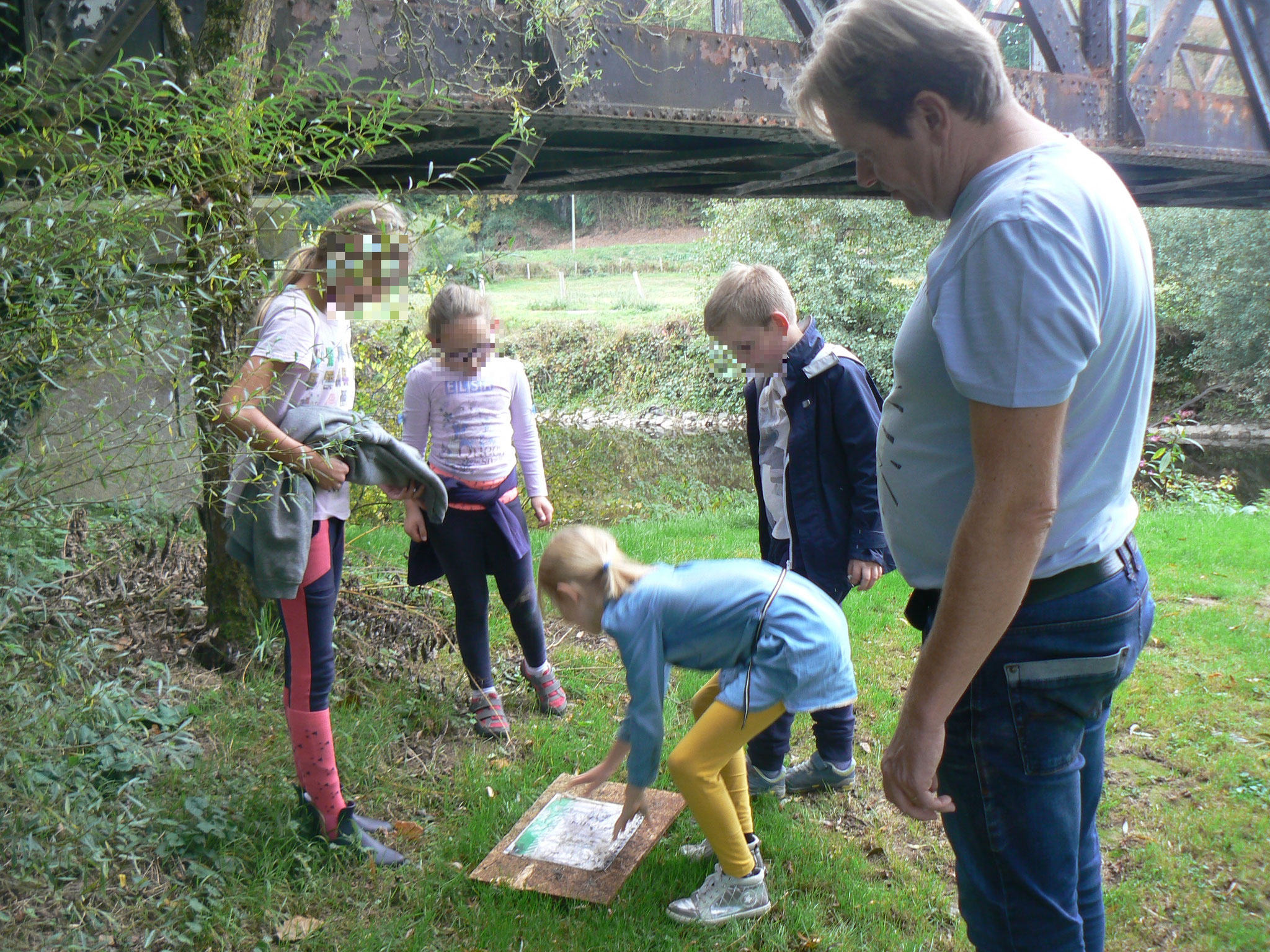 Installation d'une planche pour l'observation prochaine d'escargot.