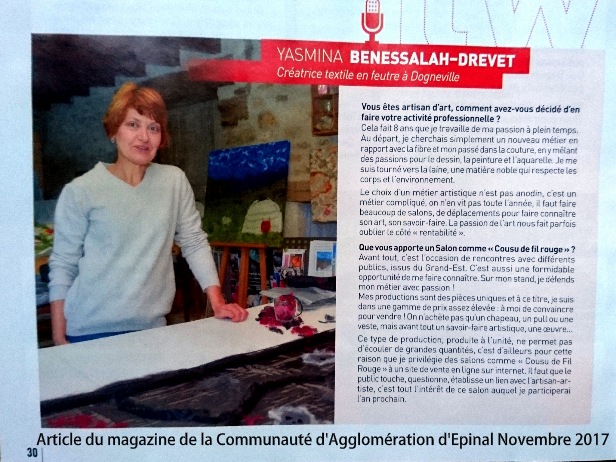 MAGAZINE DE LA COMMUNAUTE DE COMMUNE D'EPINAL DE NOVEMBRE 2017