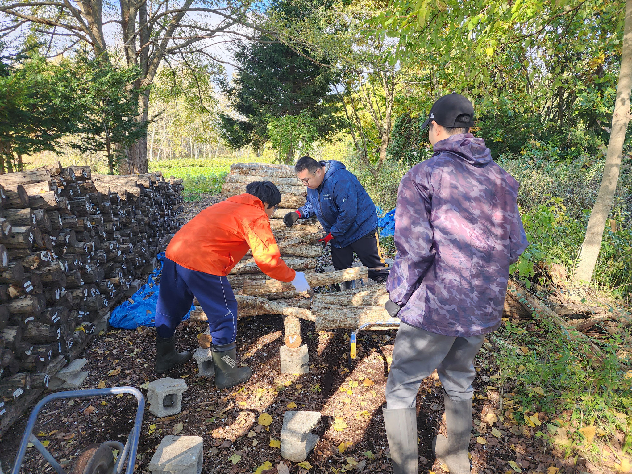 屋外作業、頑張っています