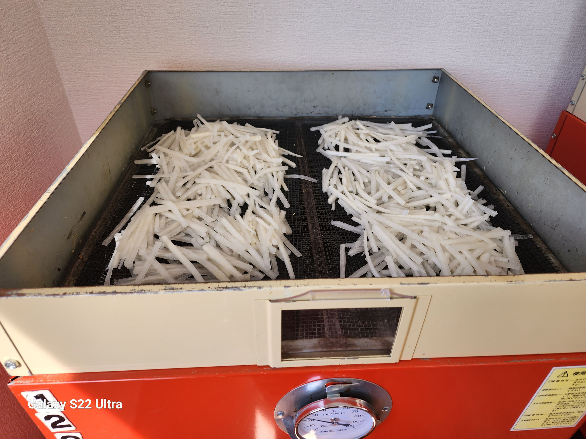 切り干し大根製造中