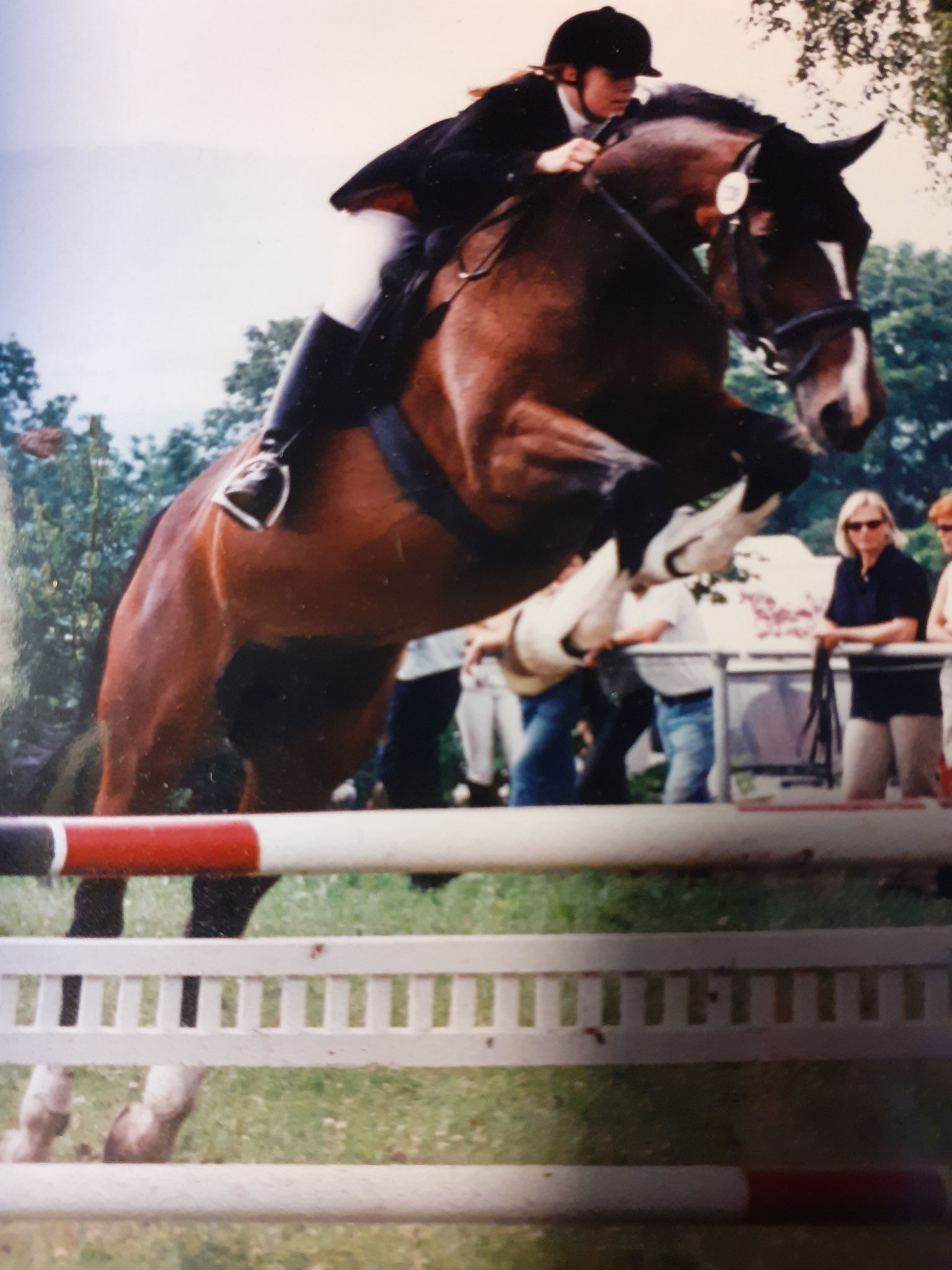 Springturnier mit Ronja in Hechingen 1996