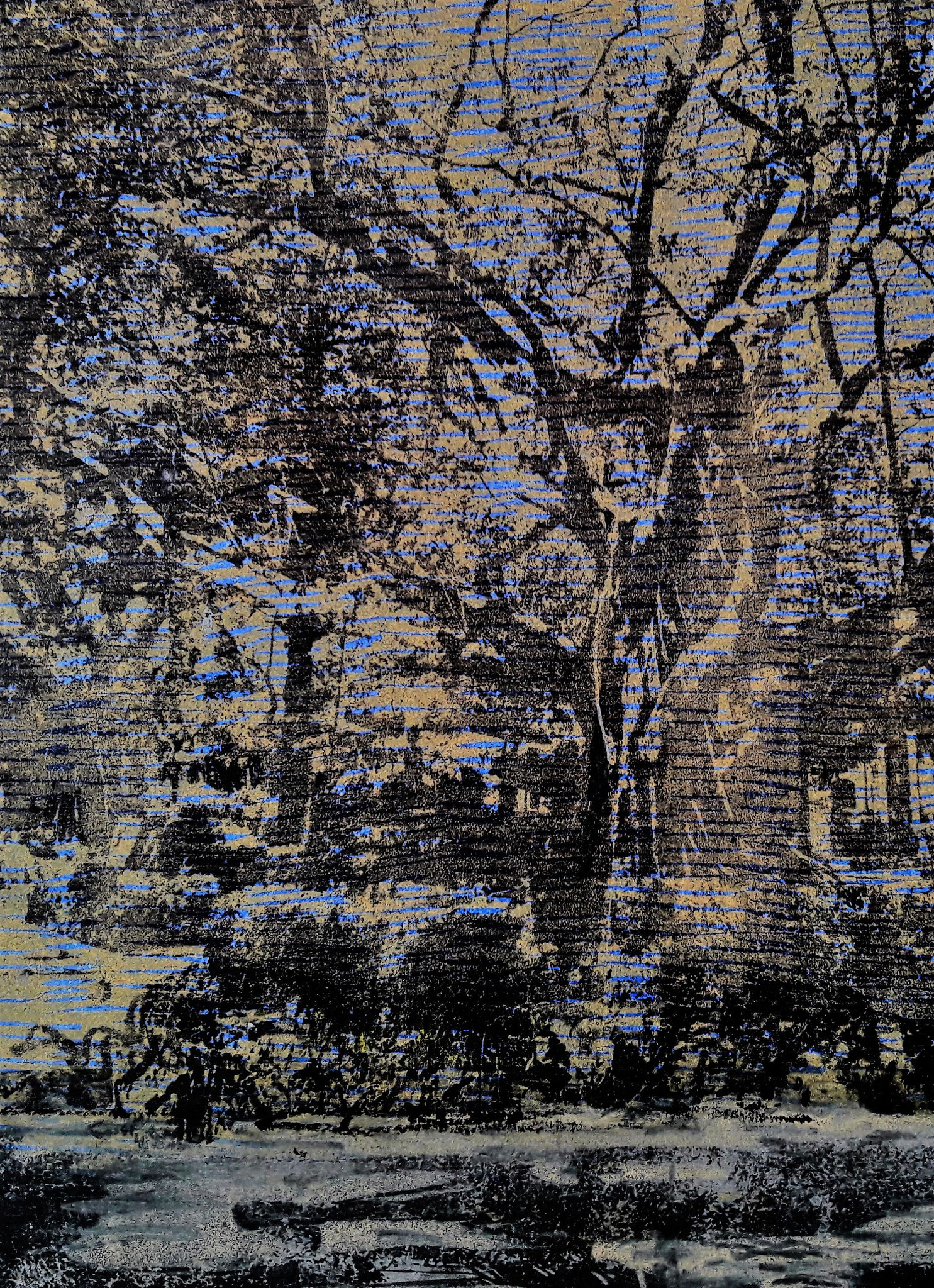 "La langue des arbres" Gravure/ Monotypie  ca. 50X80 cm
