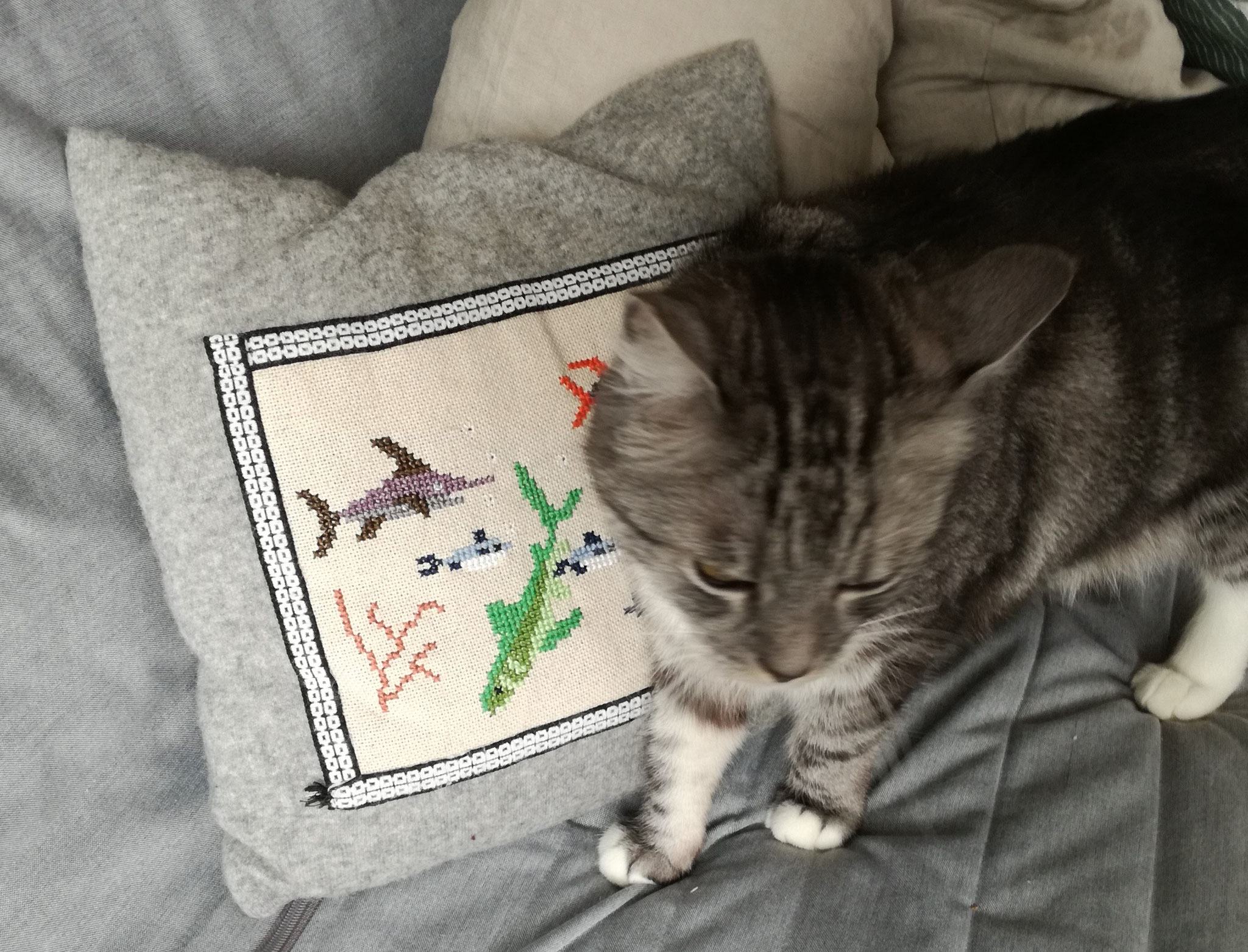 Gismo [&Susanne] (Jülich-Barmen, DE)