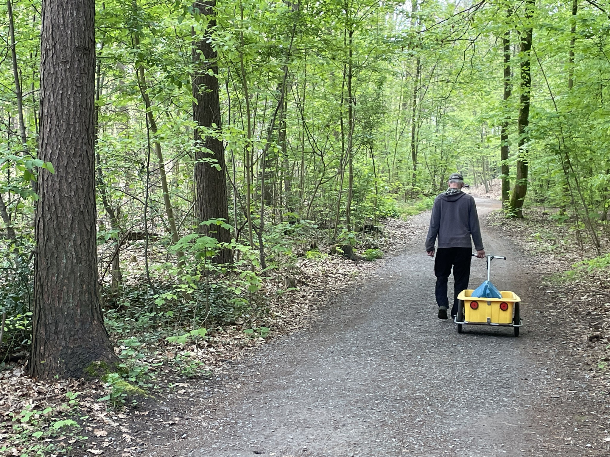 Granddad takes the little saddle-framework safely stored in his trailer on a tour through the woods.