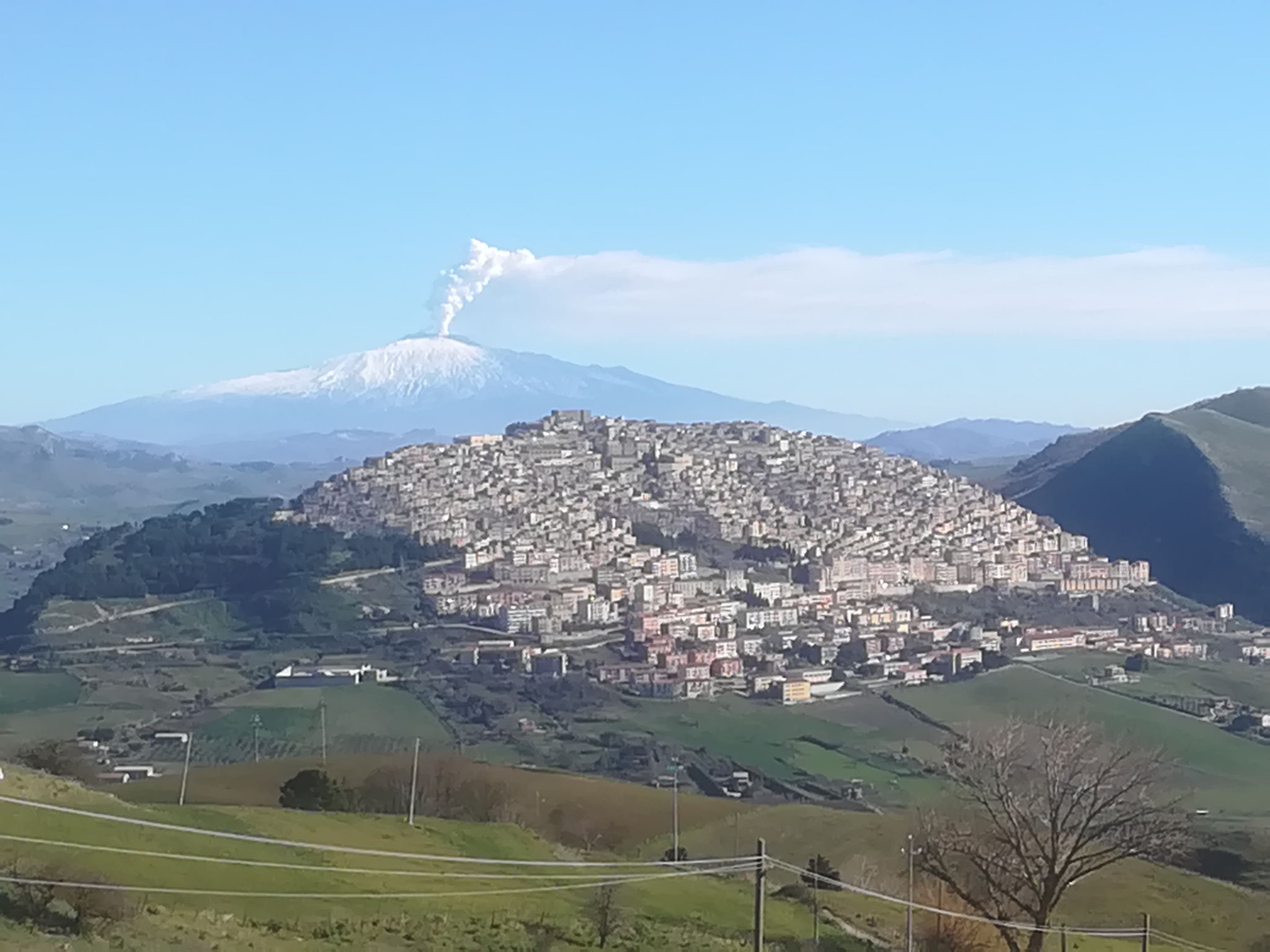 Gangi 
