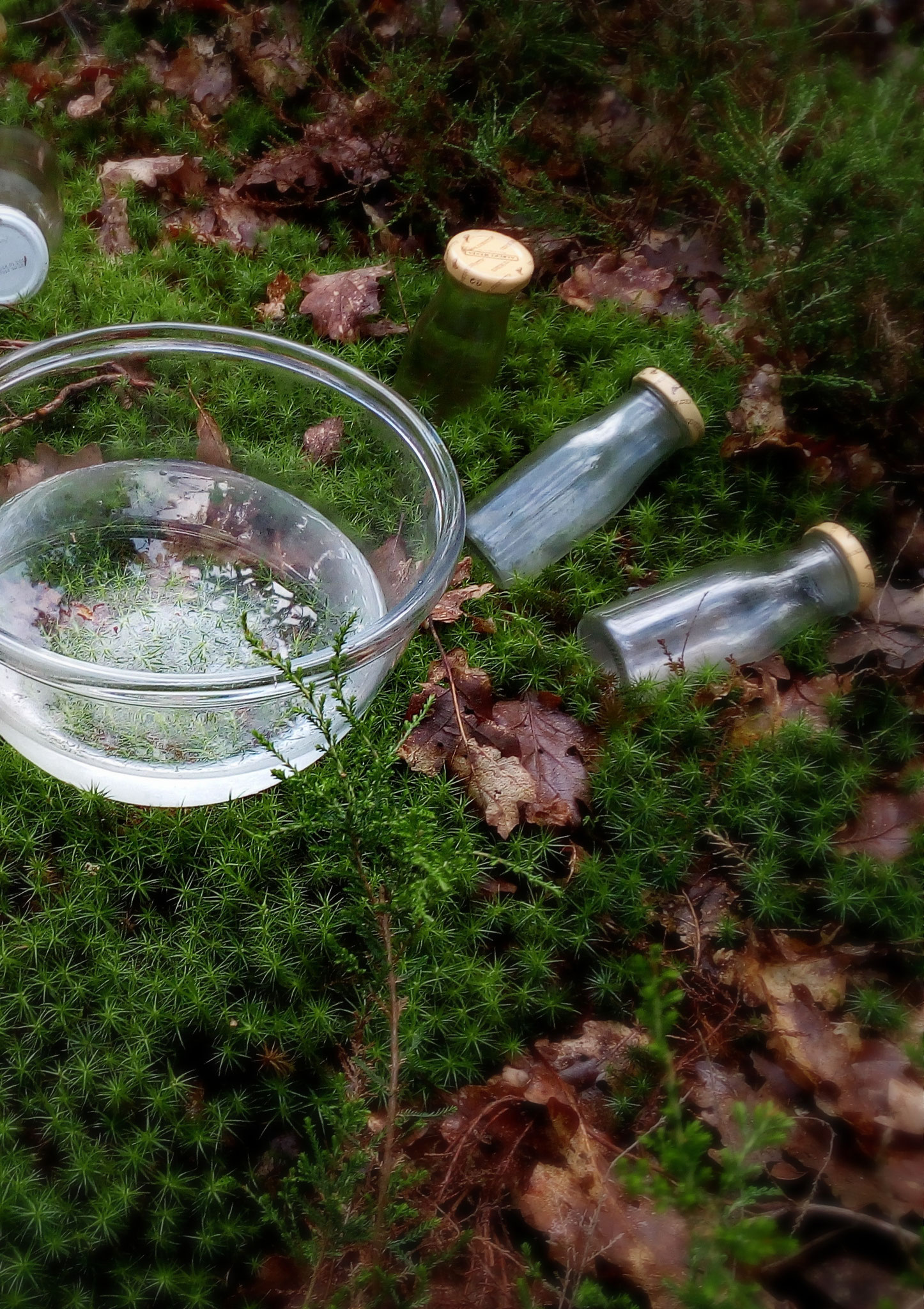 Eau de Source fraiche ; petites bouteilles de verre pour récolter les échantillons