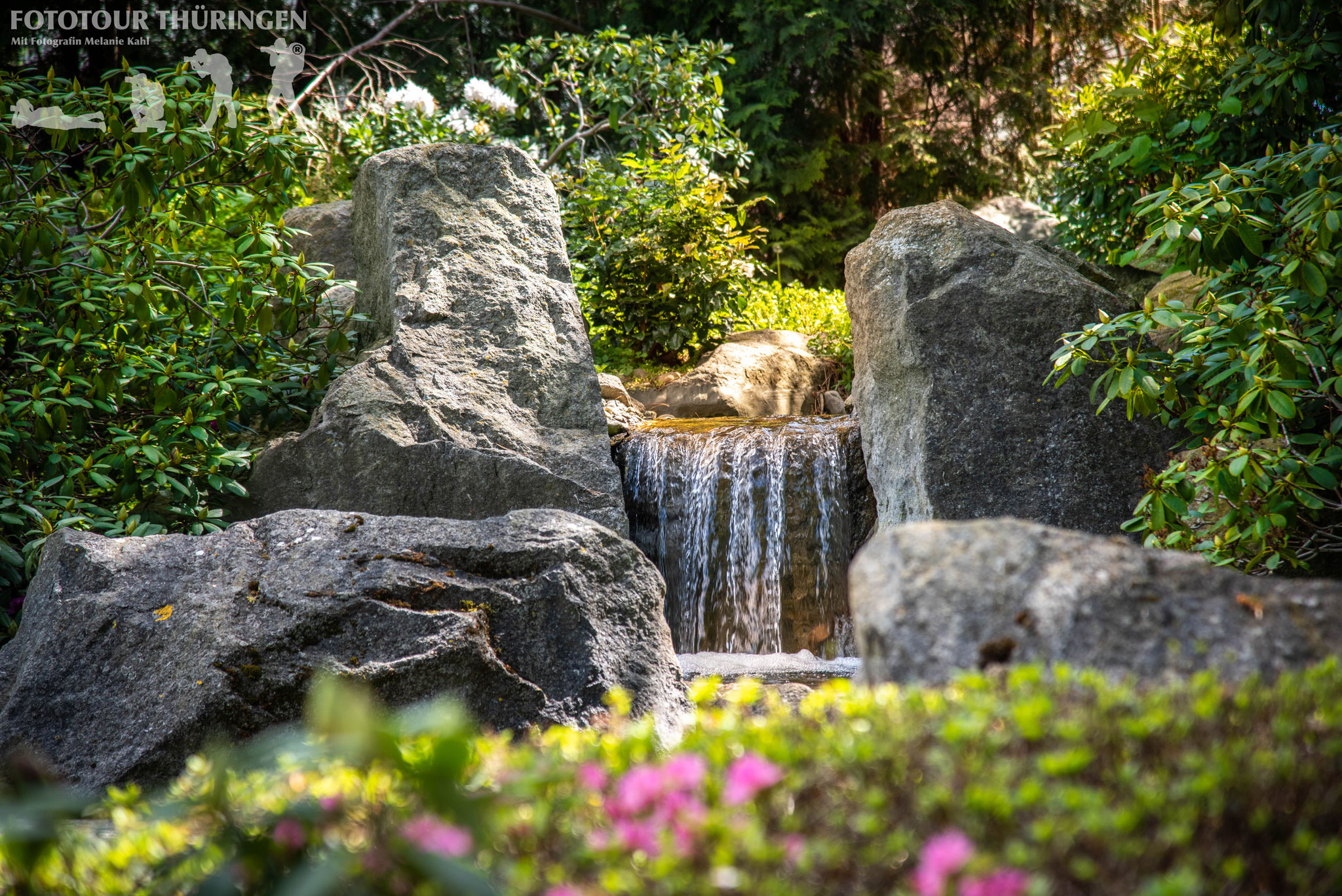 Fototour im Japanischen Garten in Bad