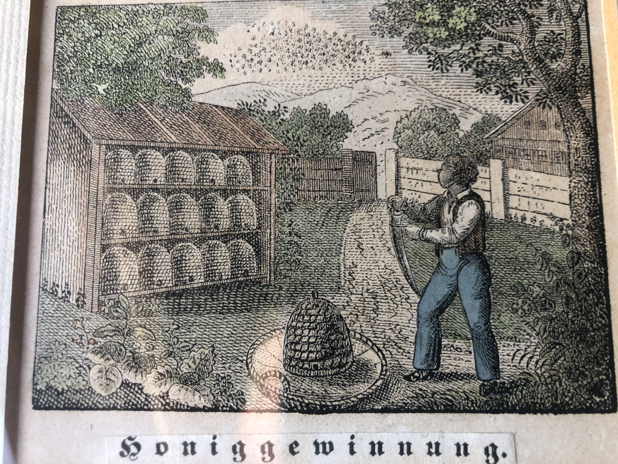 Beute und Brutraumgröße - Bienenzuchtverein Merkstein