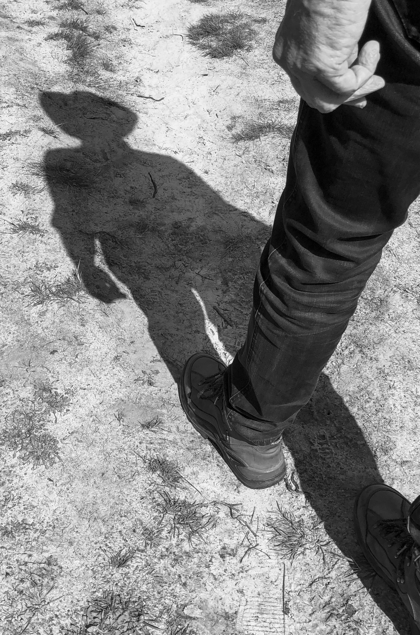 The man and his shadow