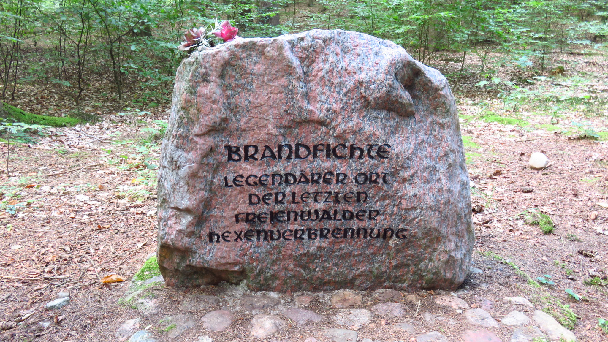 Das Denkmal an der Brandfichte erstrahlt im neuen Glanz Die