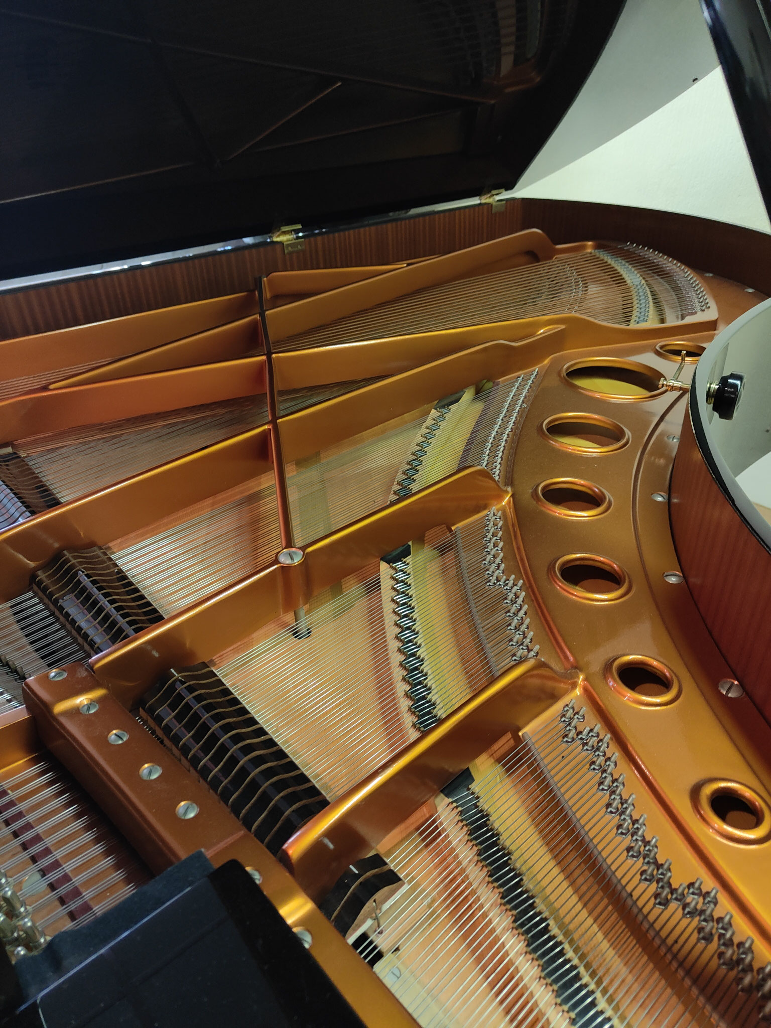 Bösendorfer 255 Driekwartvleugel Tweedehands 6