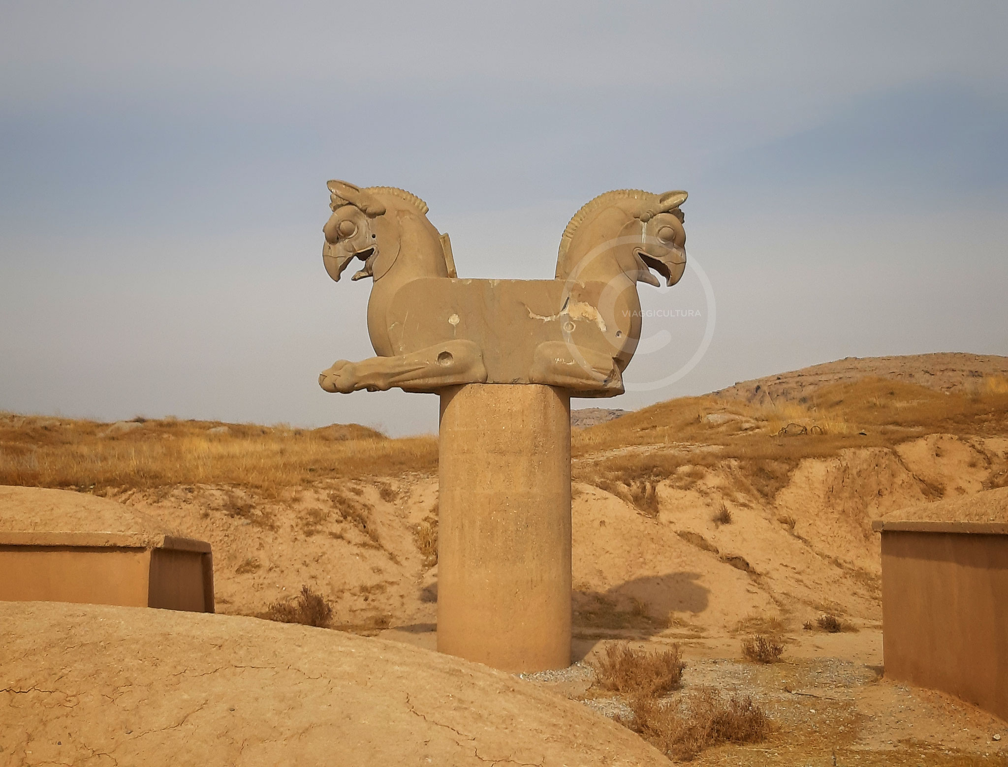 Un capitello con due teste contrapposte del grifone dal tronco di aquila, famosa con il nome di Homa - Persepoli (Iran)