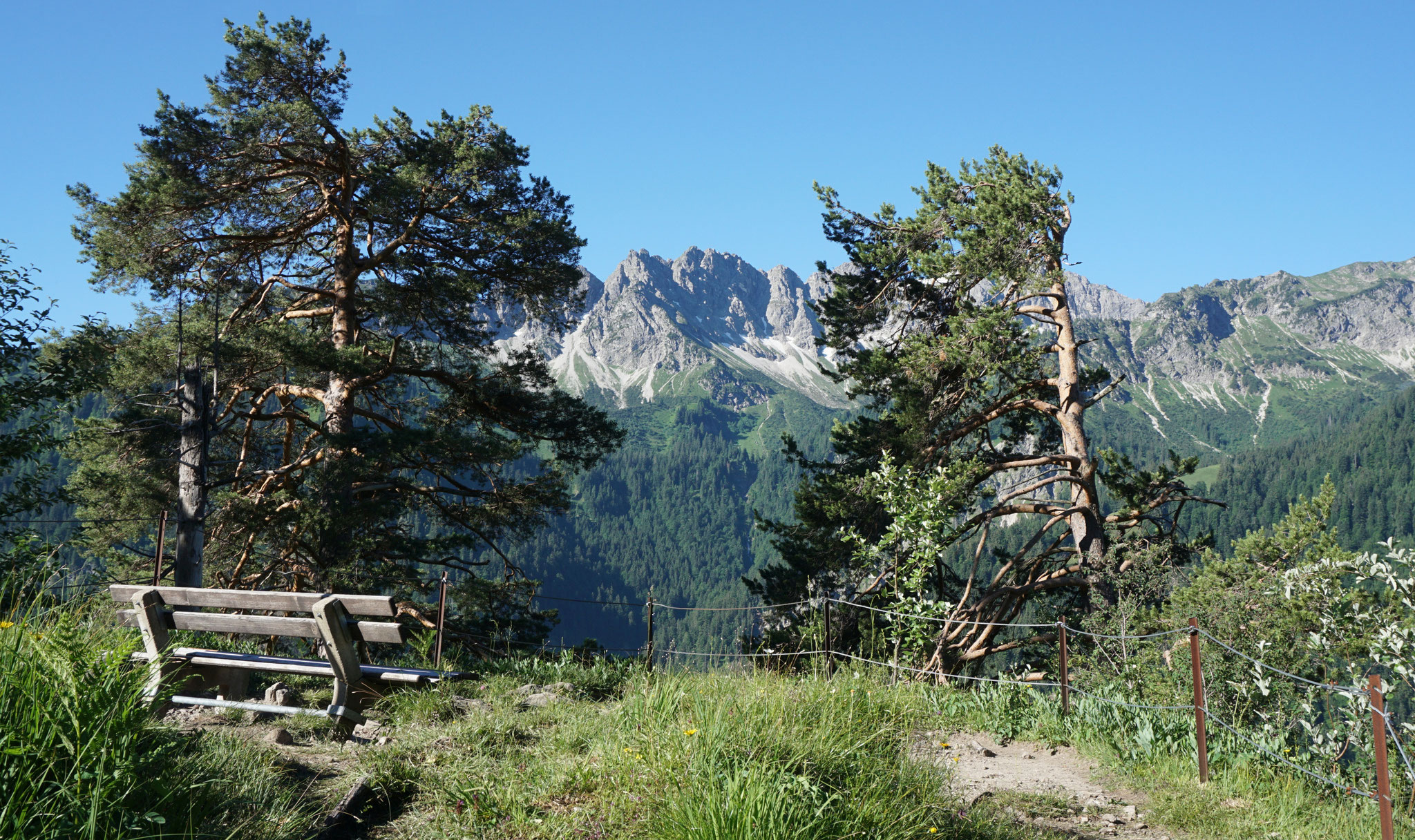 Auf dem Köpfle