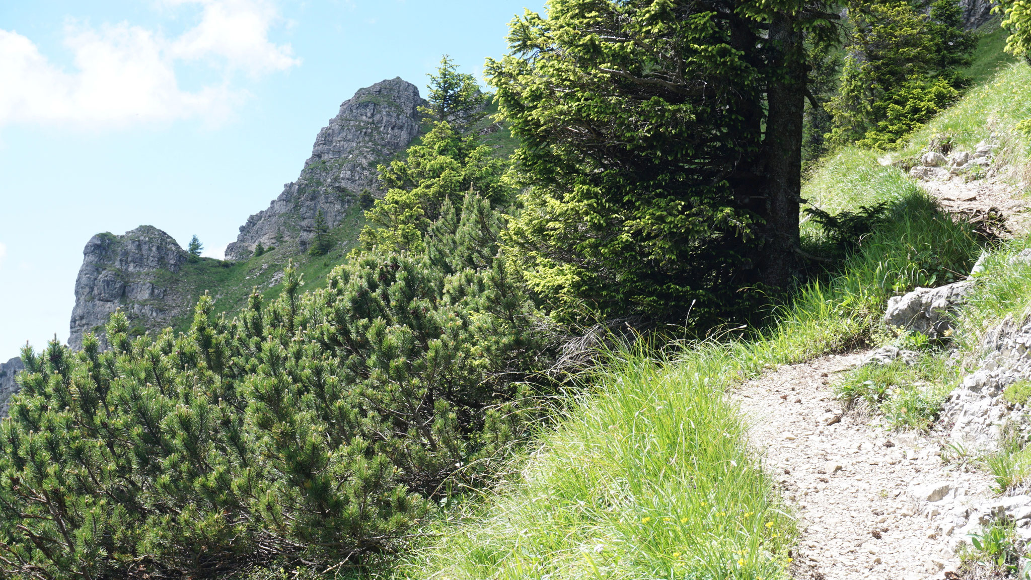 Wanderweg zum Bschießer