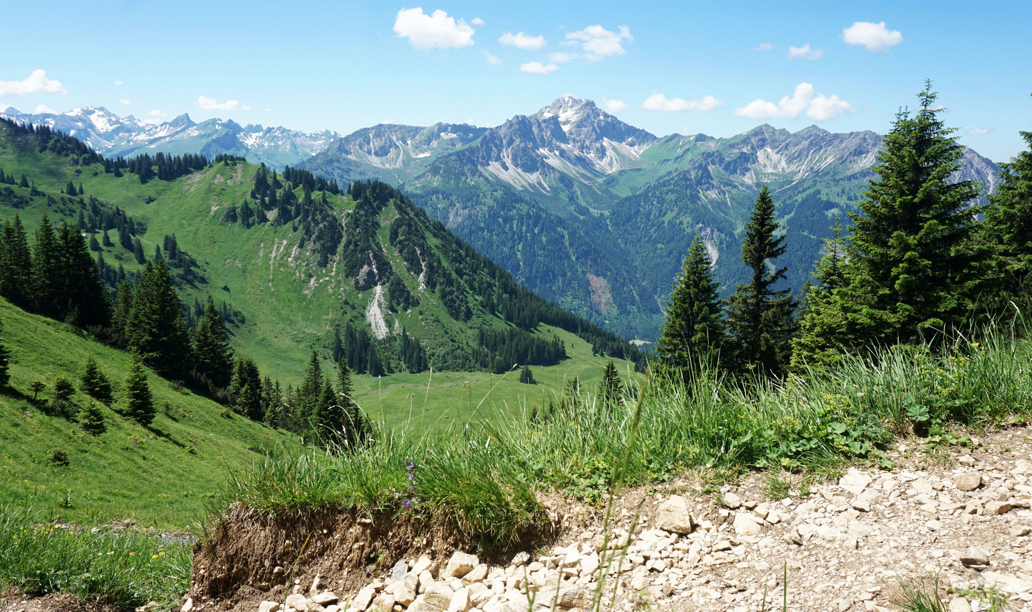 Willersalpe Blick Großer Daumen