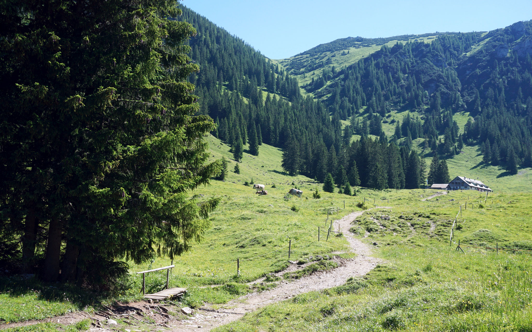 Blick zur Willeralpe 