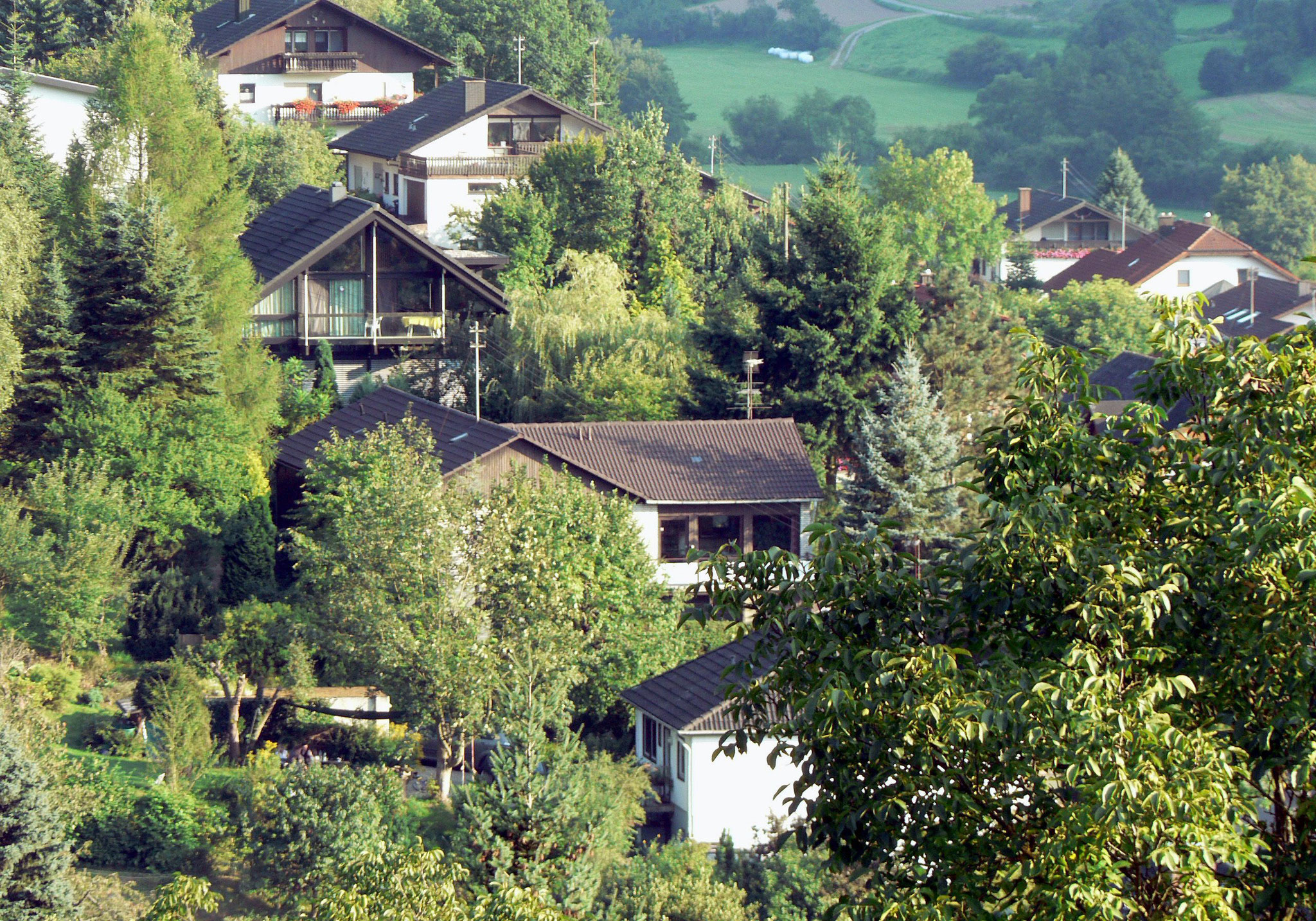 Blick von Hornbacher Steige auf Haus