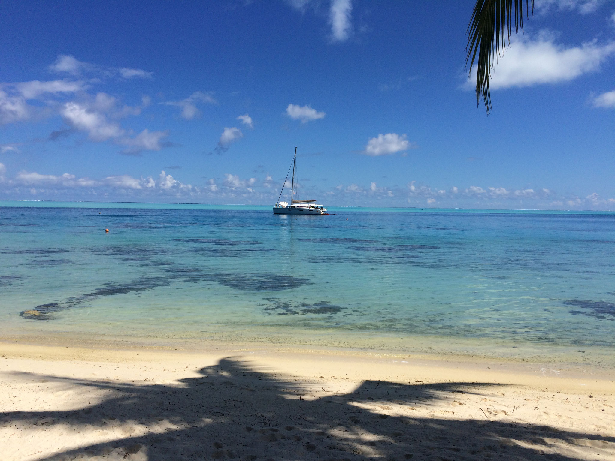 Lunch View No. I 