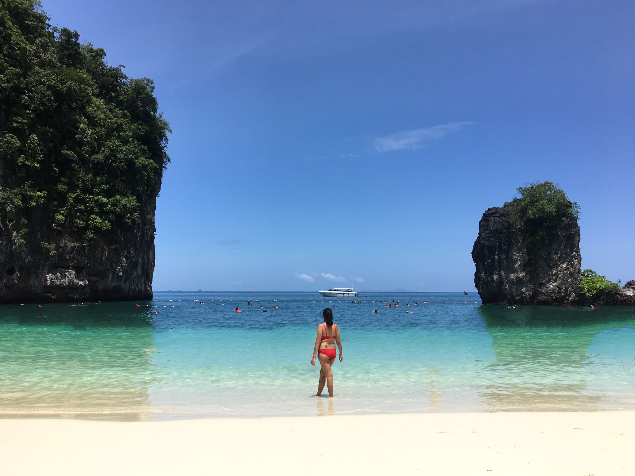 Enjoying the view