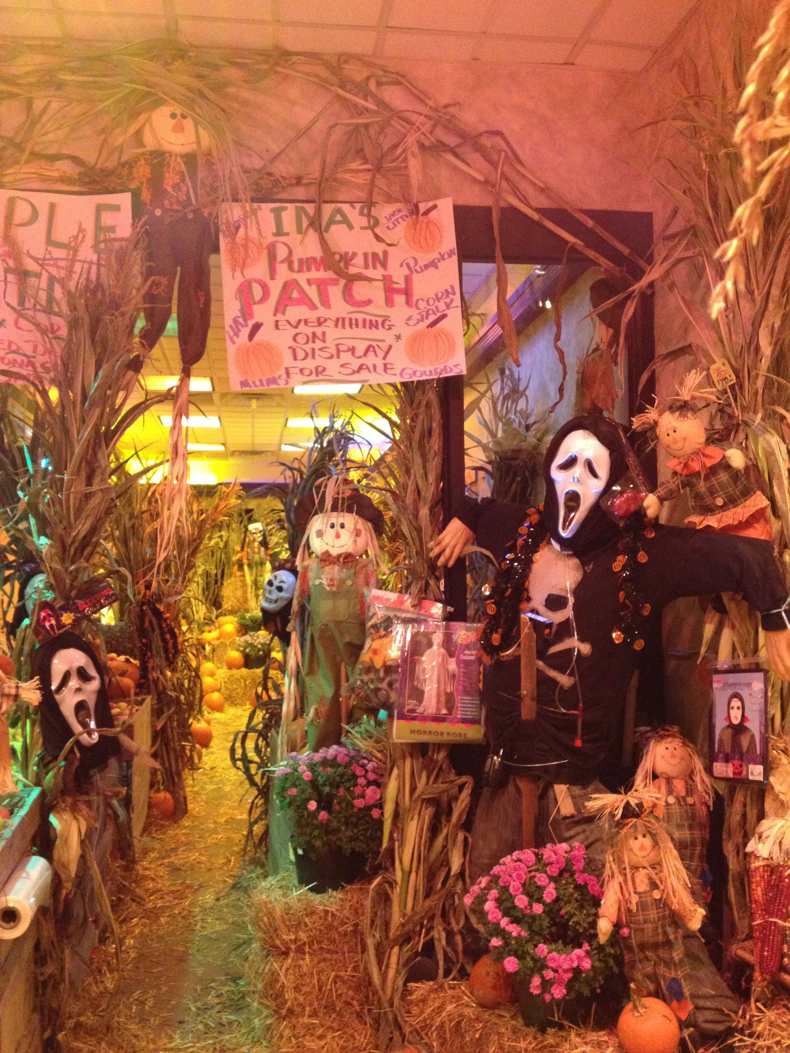 Halloween deco in a local market in Astoria 
