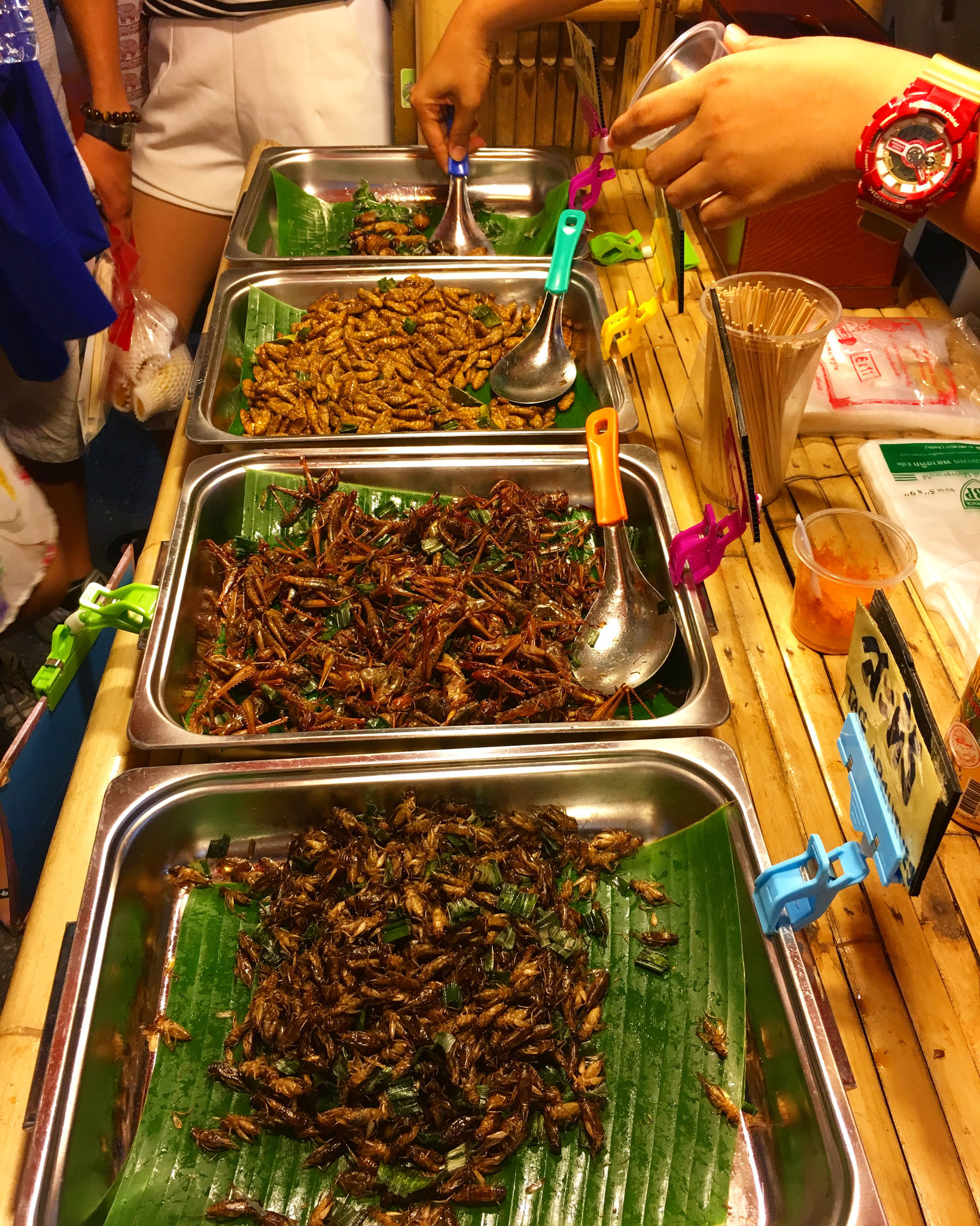 Fried insects. nope. 