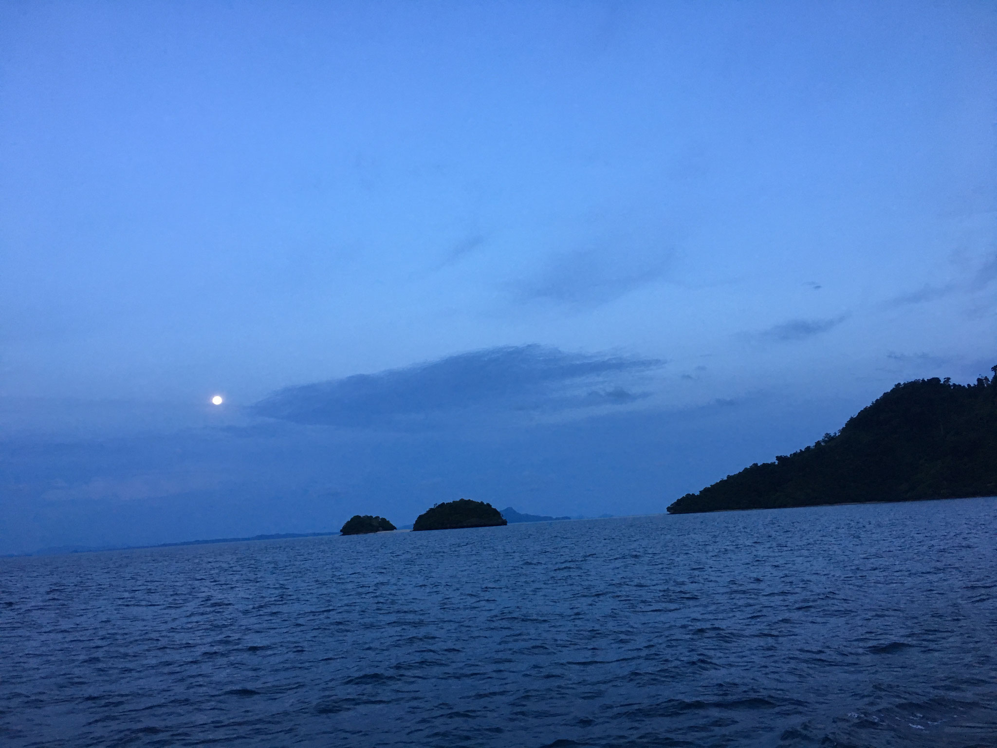 No sunset but the moon came to say hi 