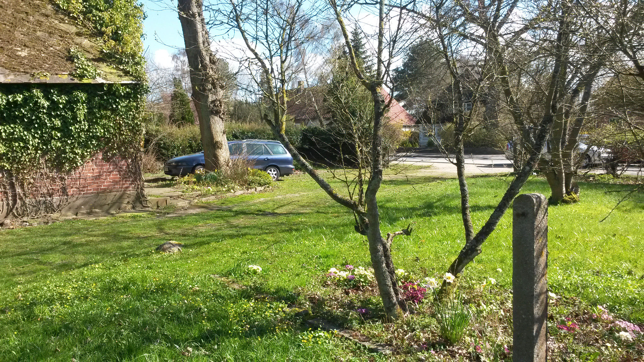 Garten - vorne Rasen hinten total verwildert