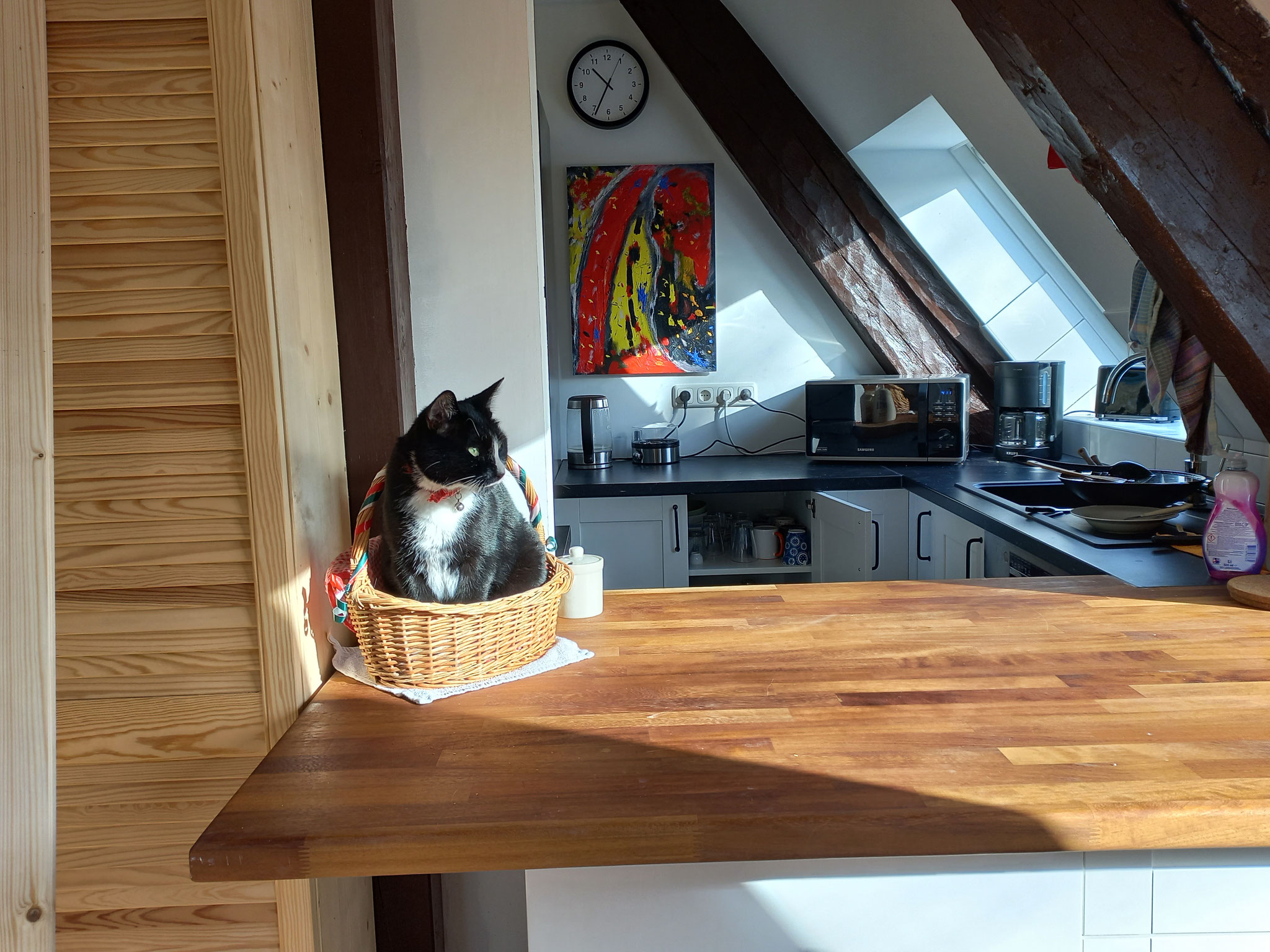 Durchreiche mit Katerchen