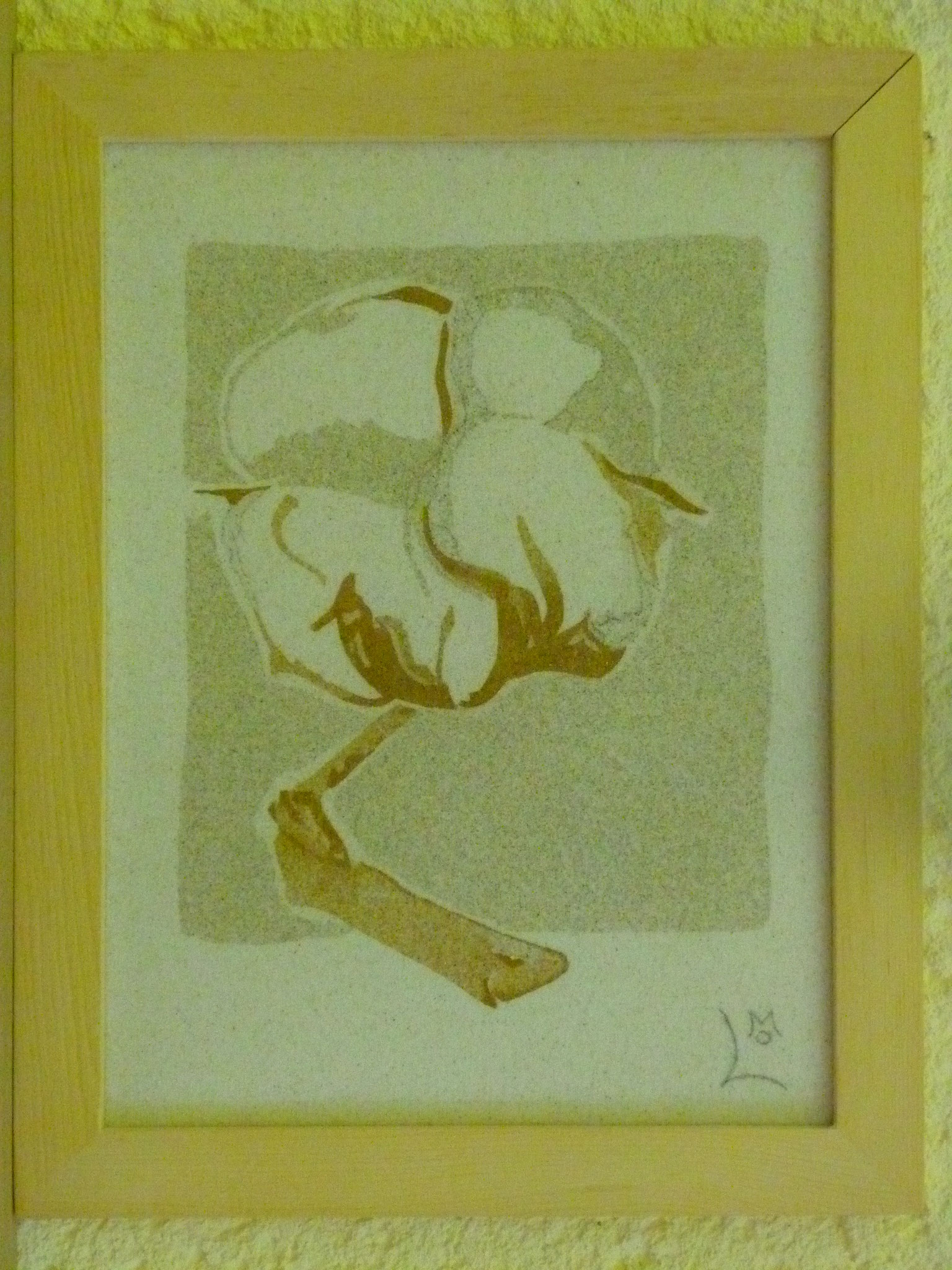 Fleur de Coton