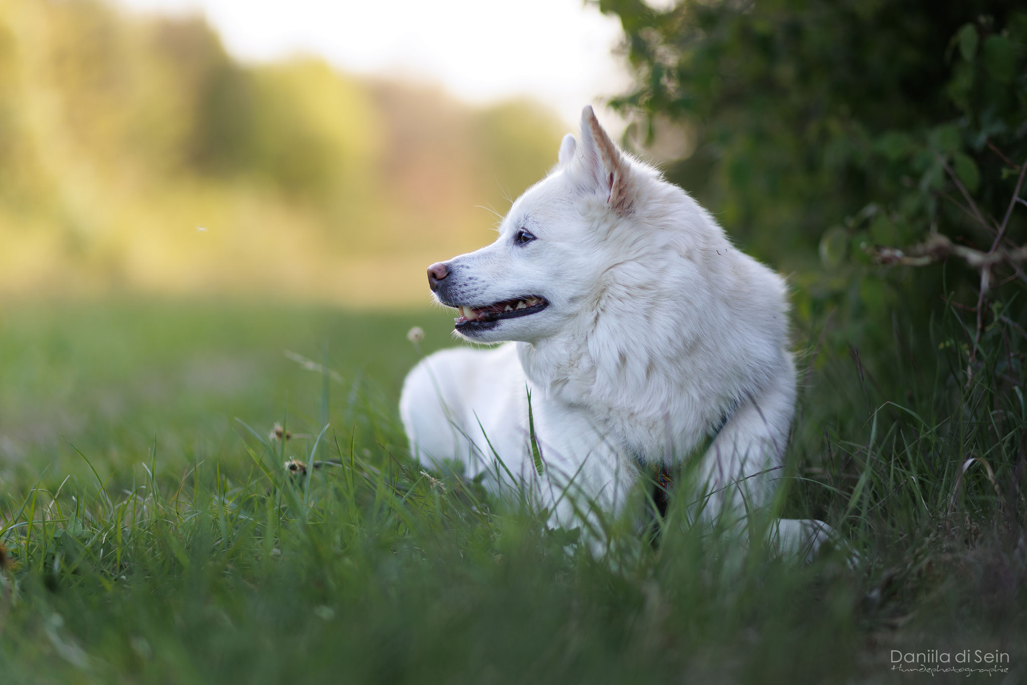 1/640, f1.8, ISO 100, 85mm